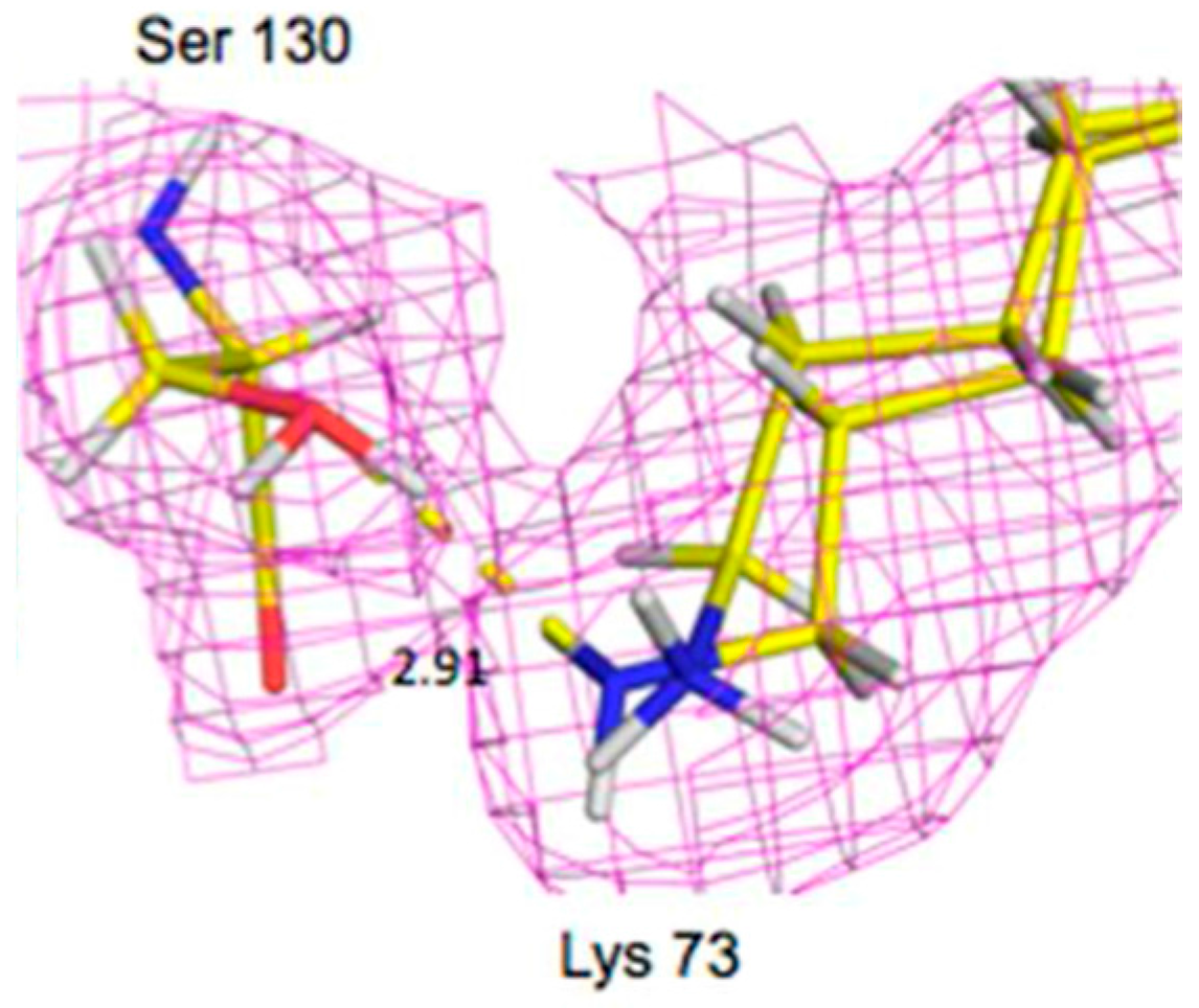 Molecules 22 00596 g013