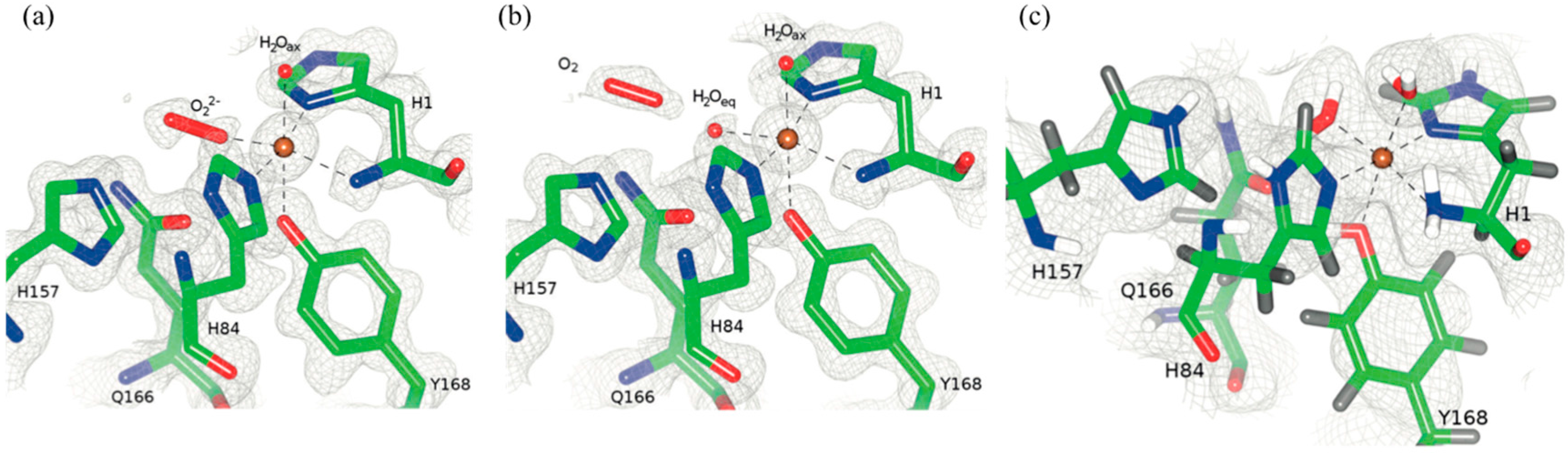 Molecules 22 00596 g015