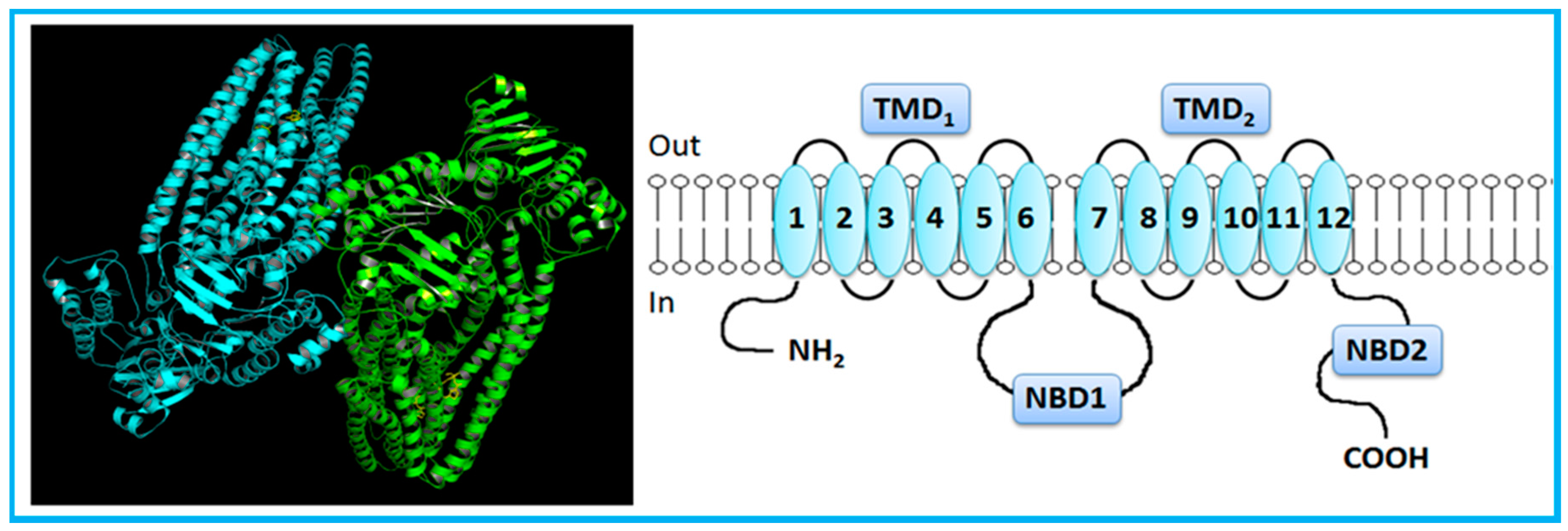 Molecules 22 00600 g001