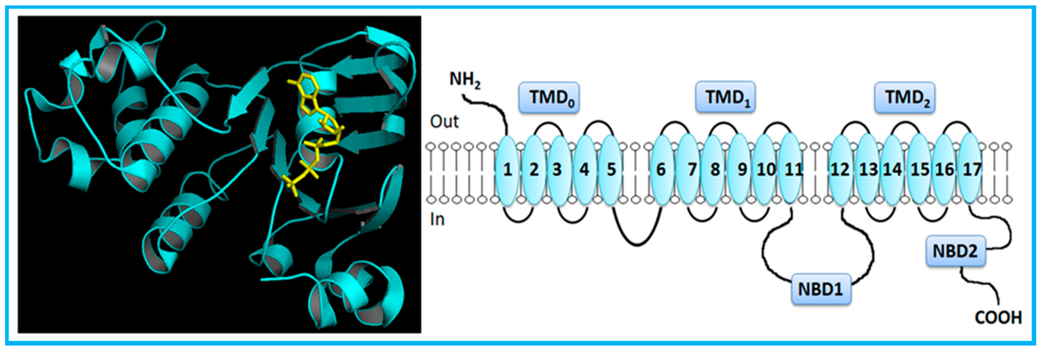 Molecules 22 00600 g002
