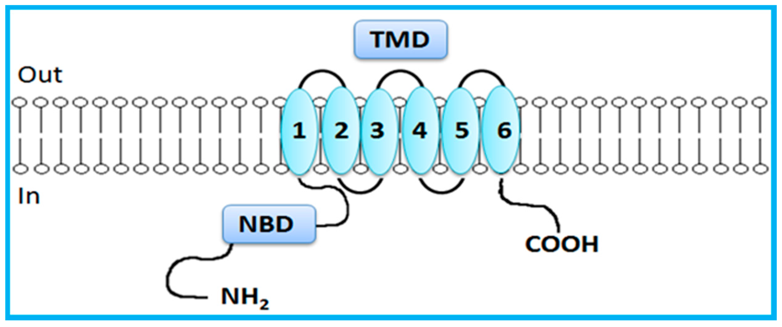 Molecules 22 00600 g003