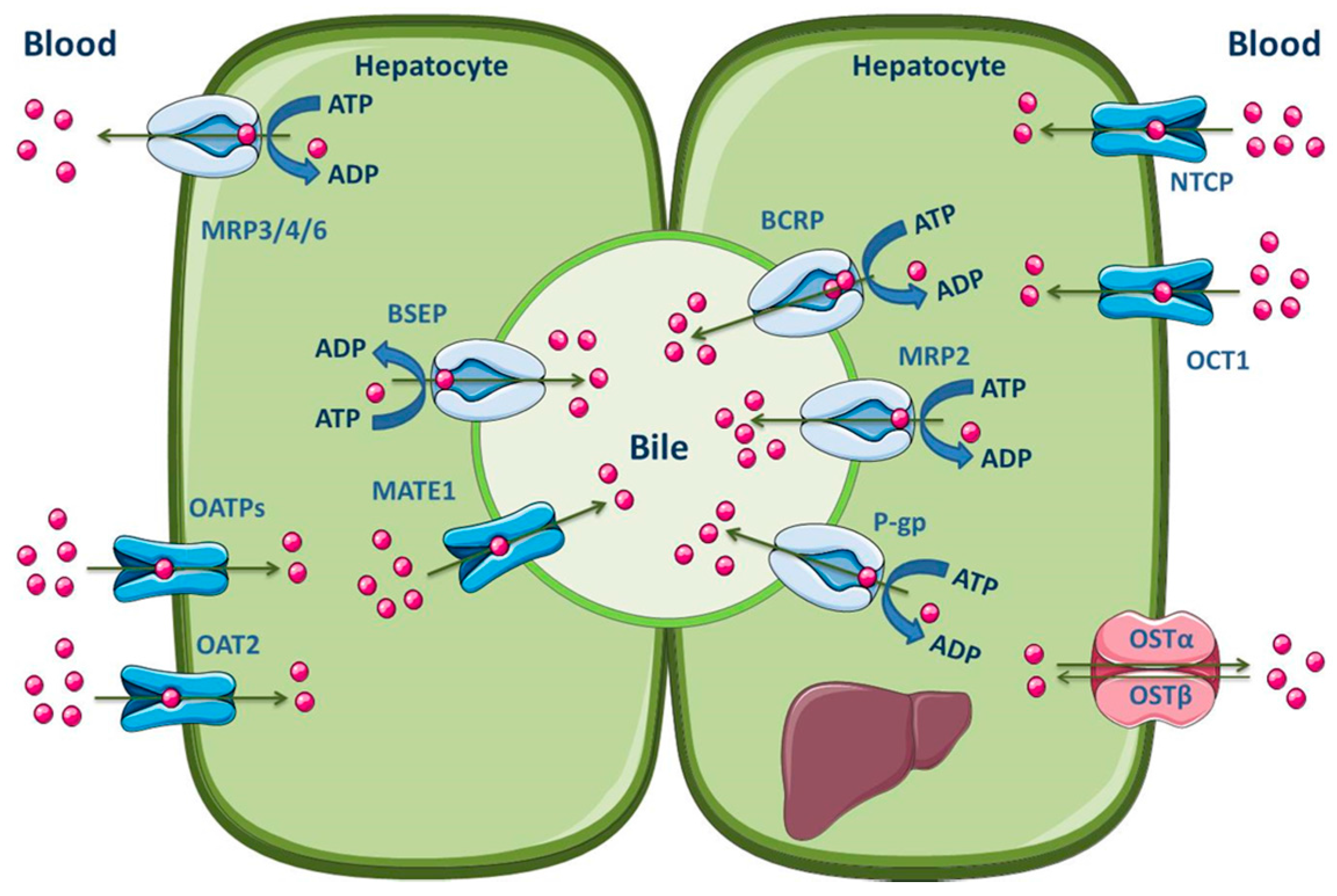 Molecules 22 00600 g005
