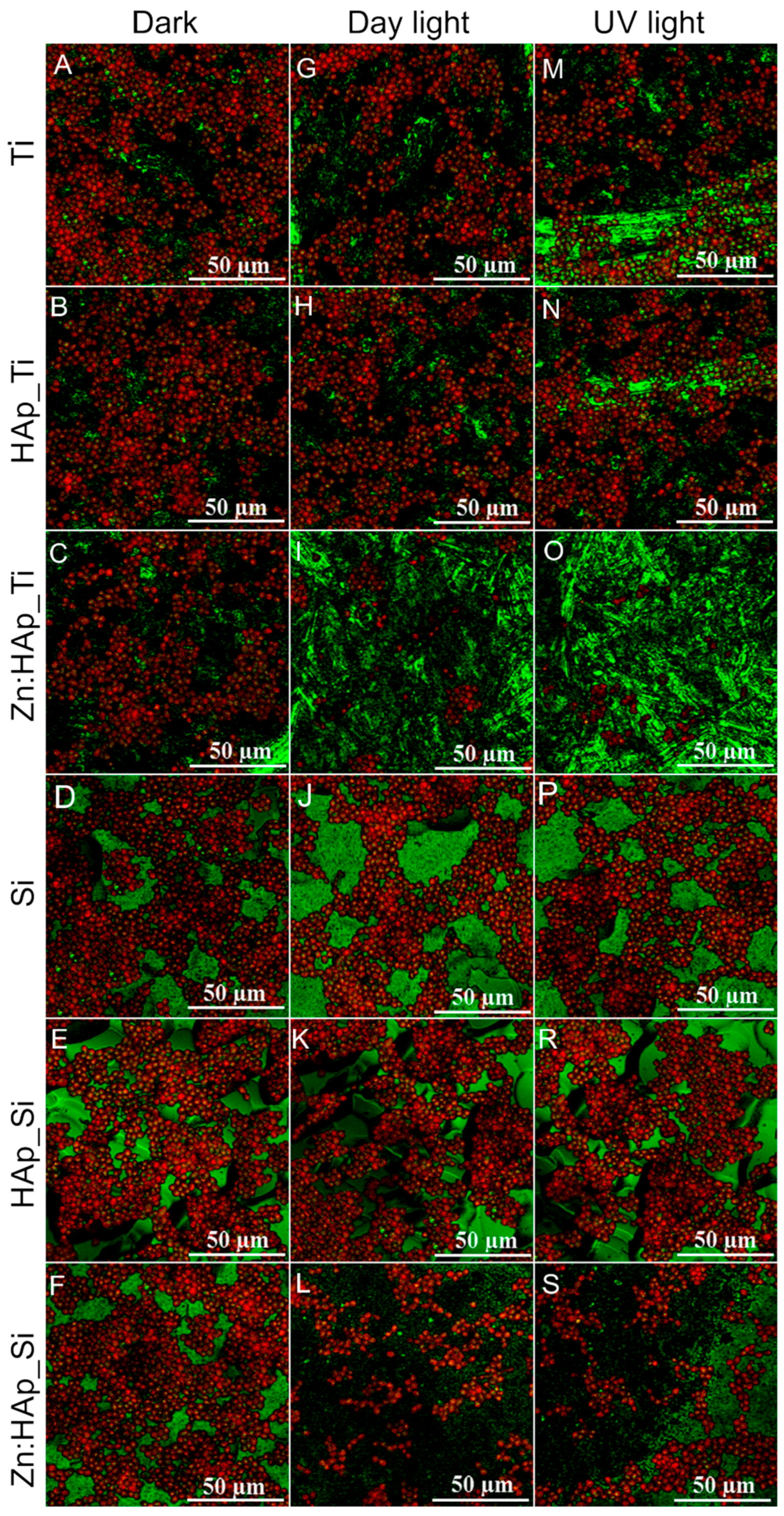 Molecules 22 00604 g006
