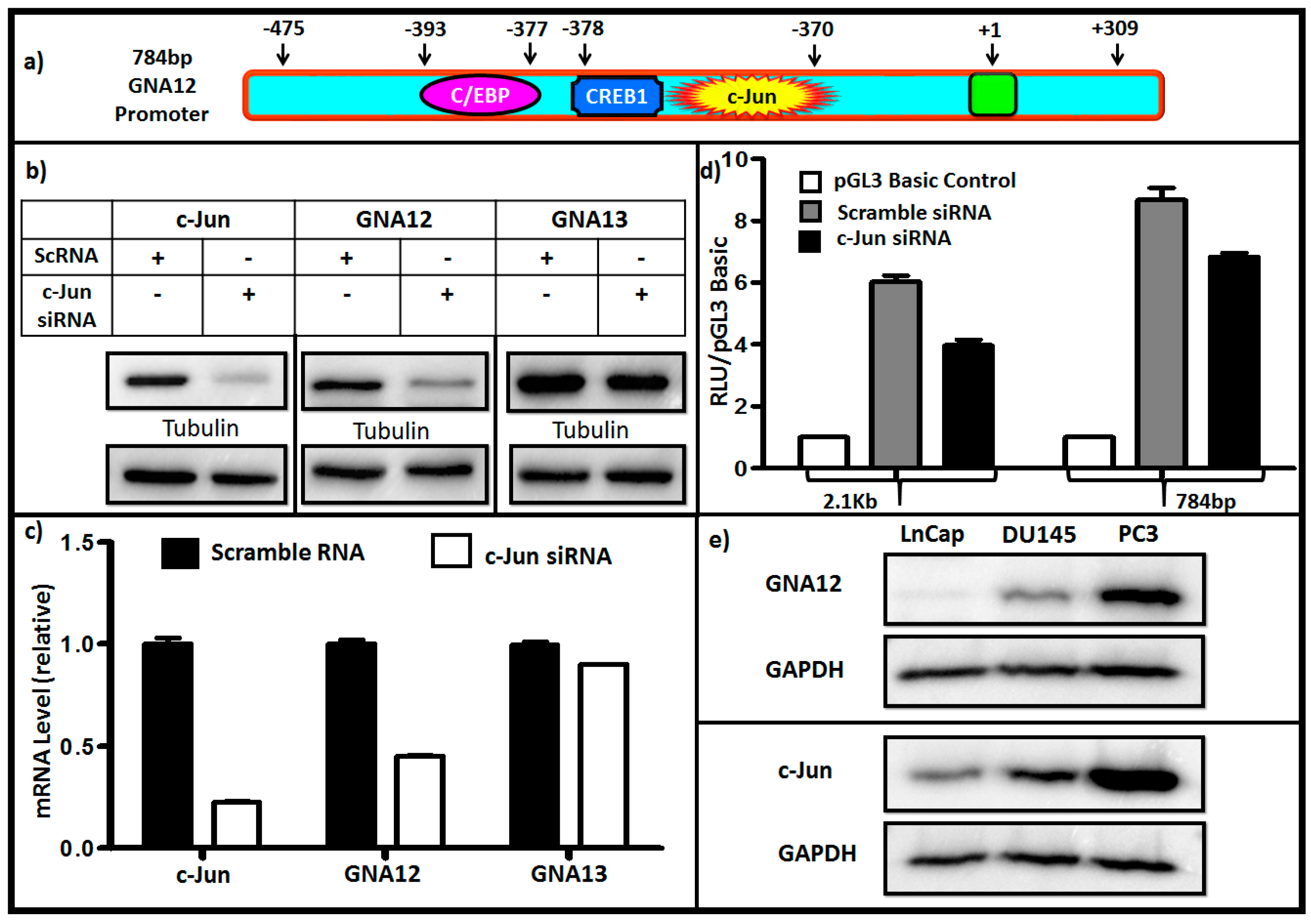 Molecules 22 00612 g003