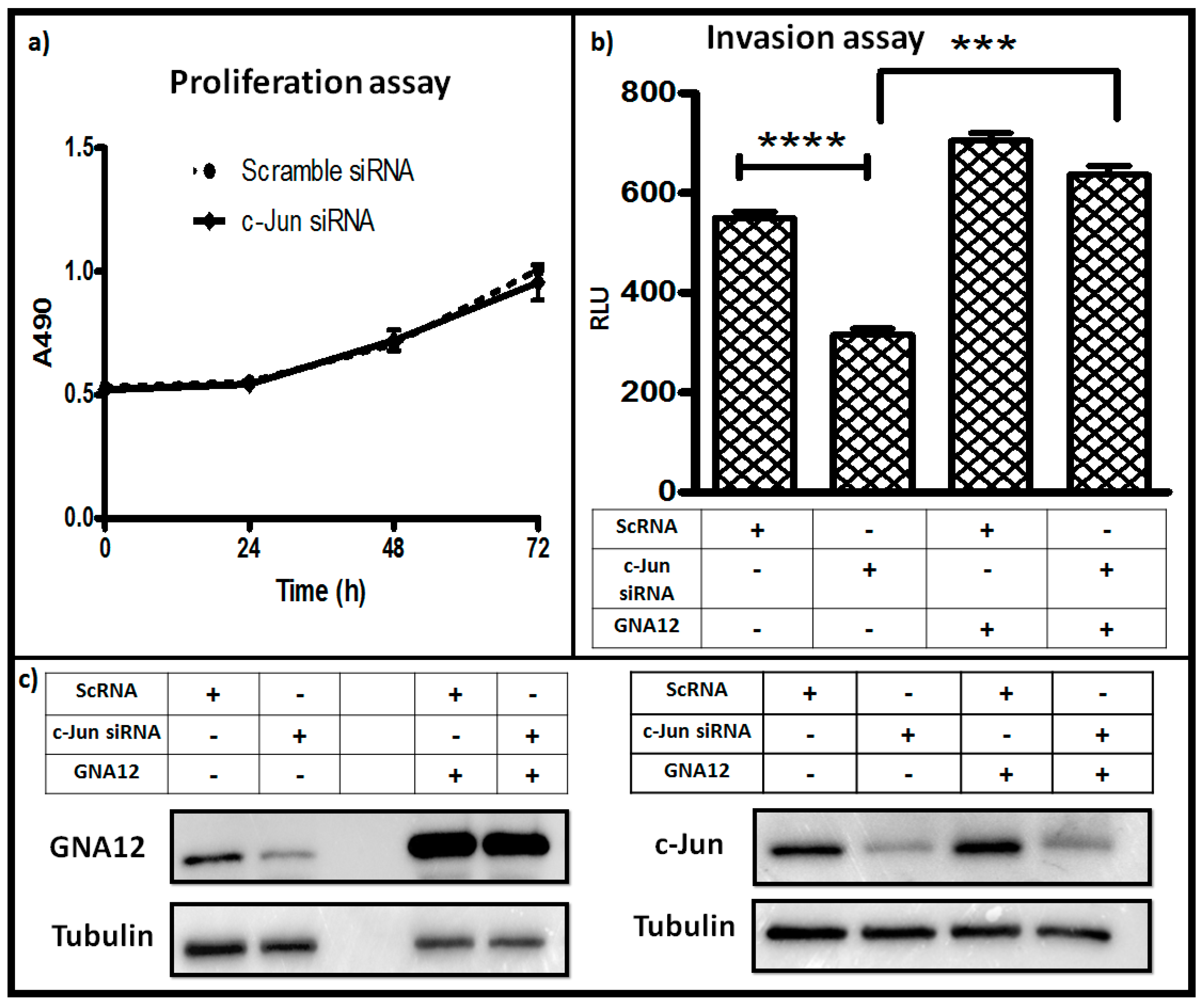 Molecules 22 00612 g005