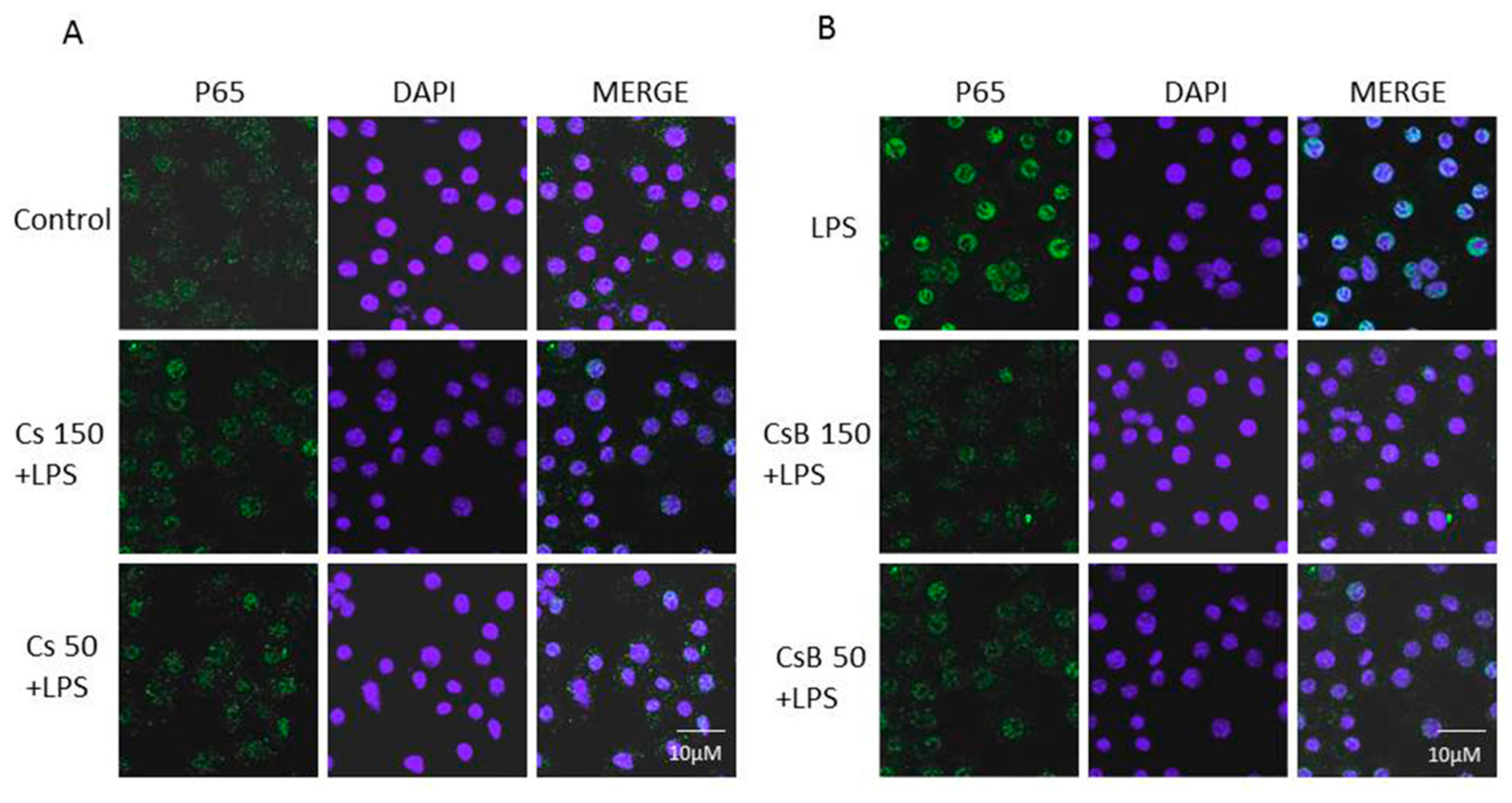 Molecules 22 00623 g004