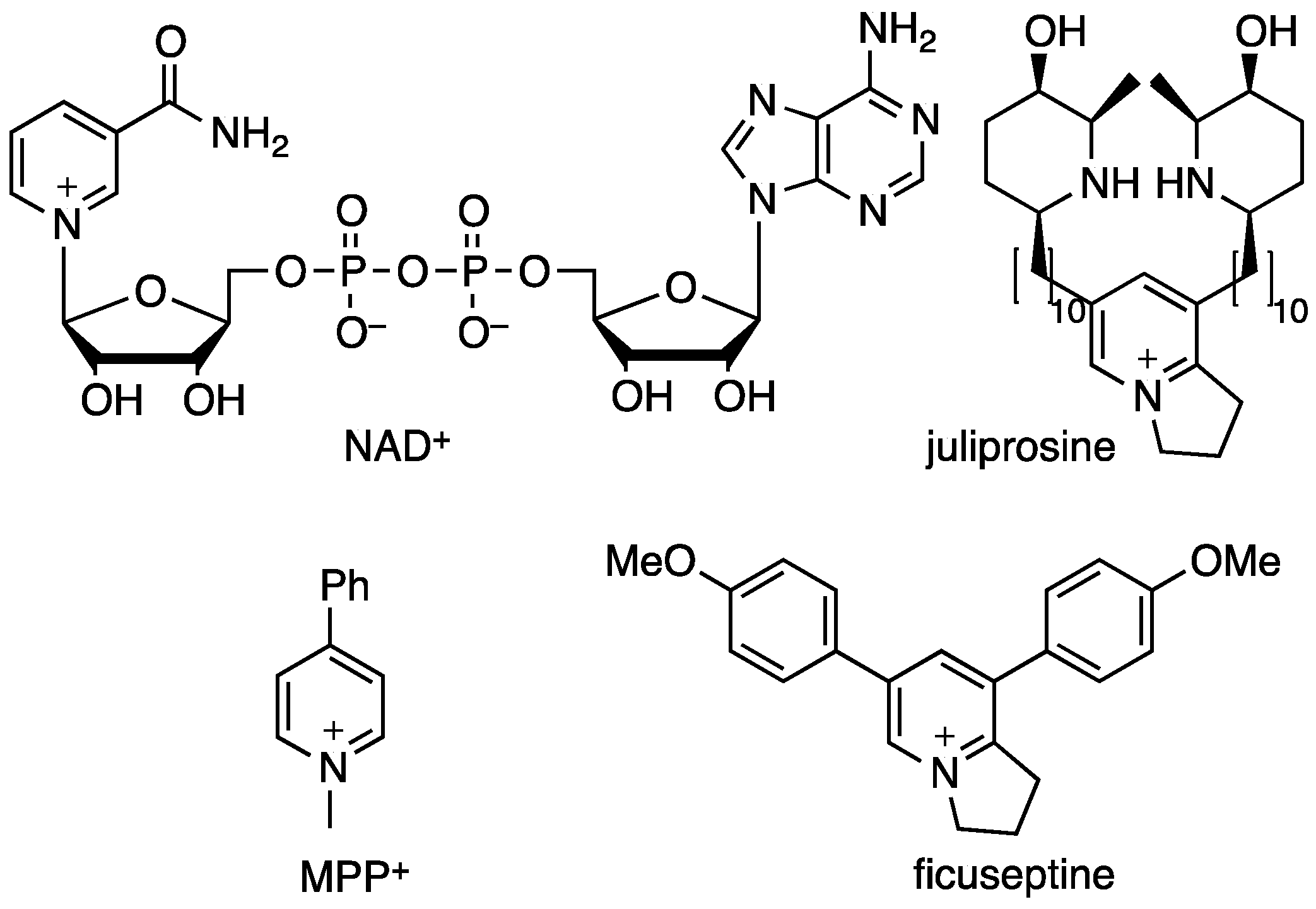 Molecules 22 00626 g001