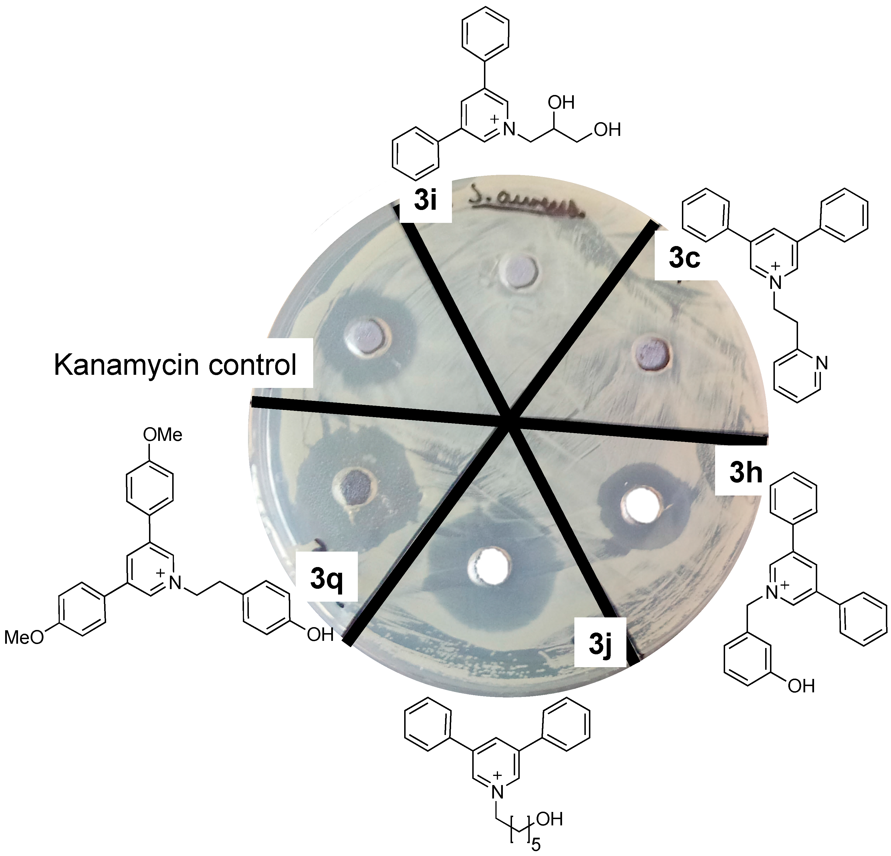 Molecules 22 00626 g002
