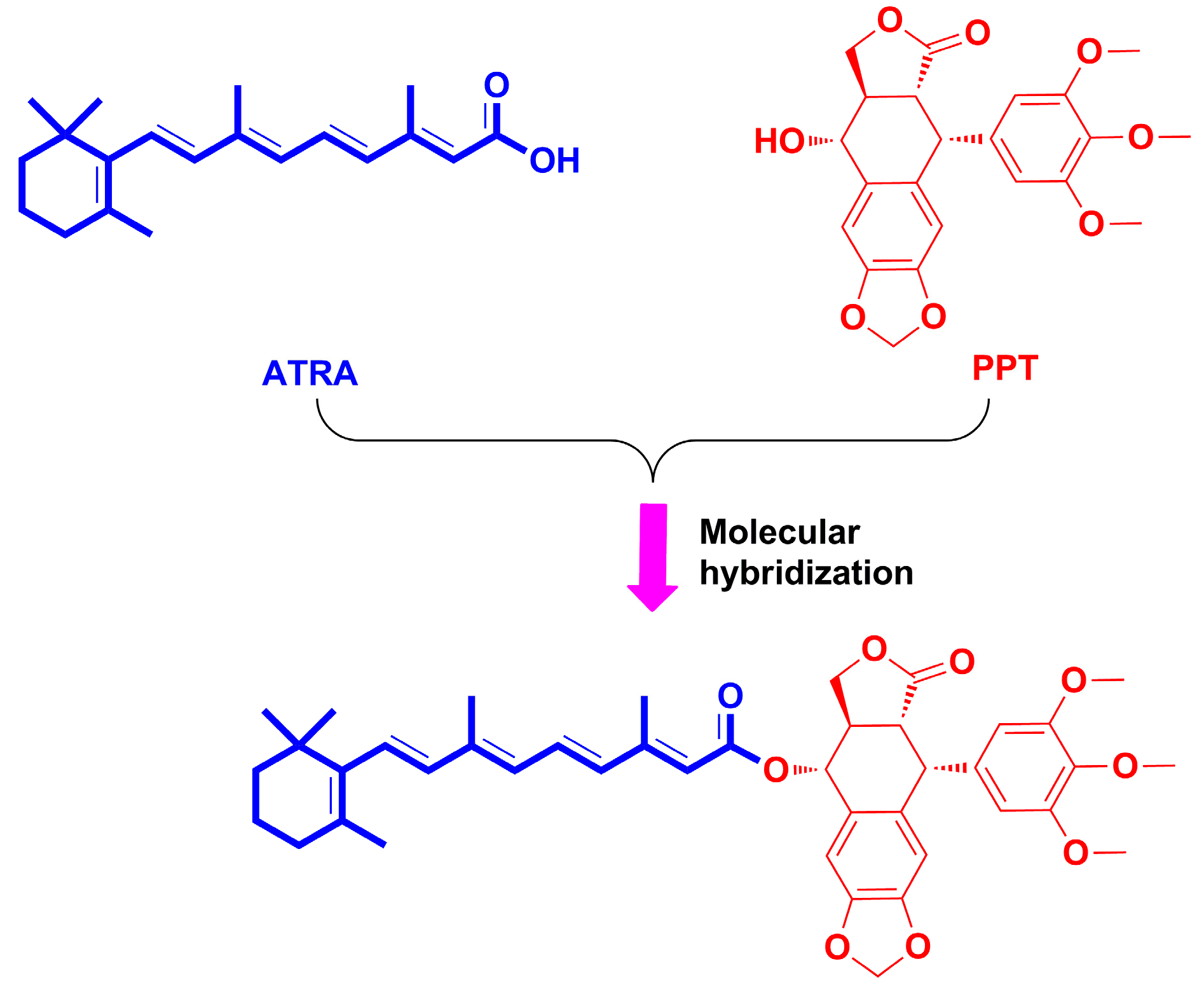 Molecules 22 00628 g003