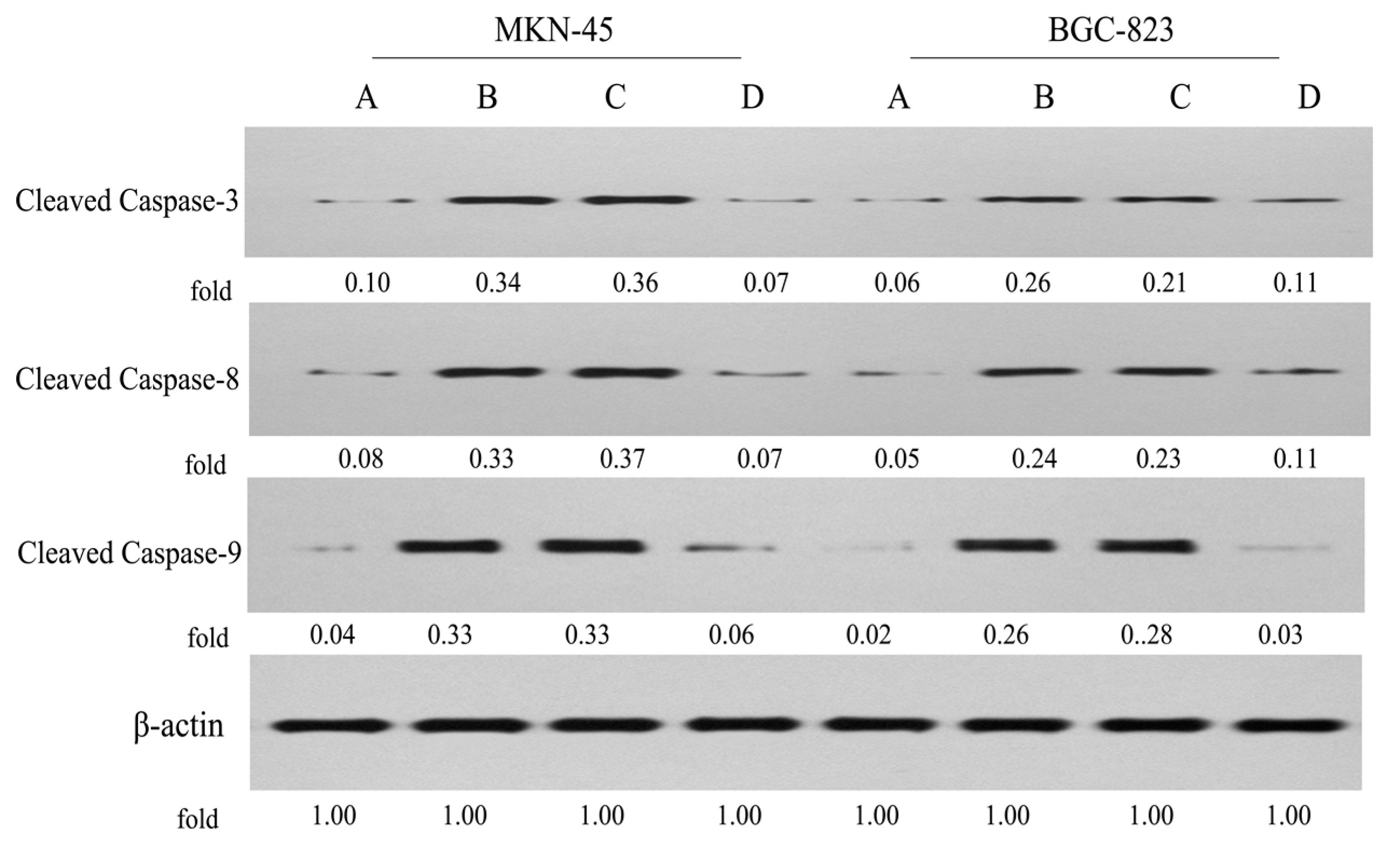 Molecules 22 00628 g008