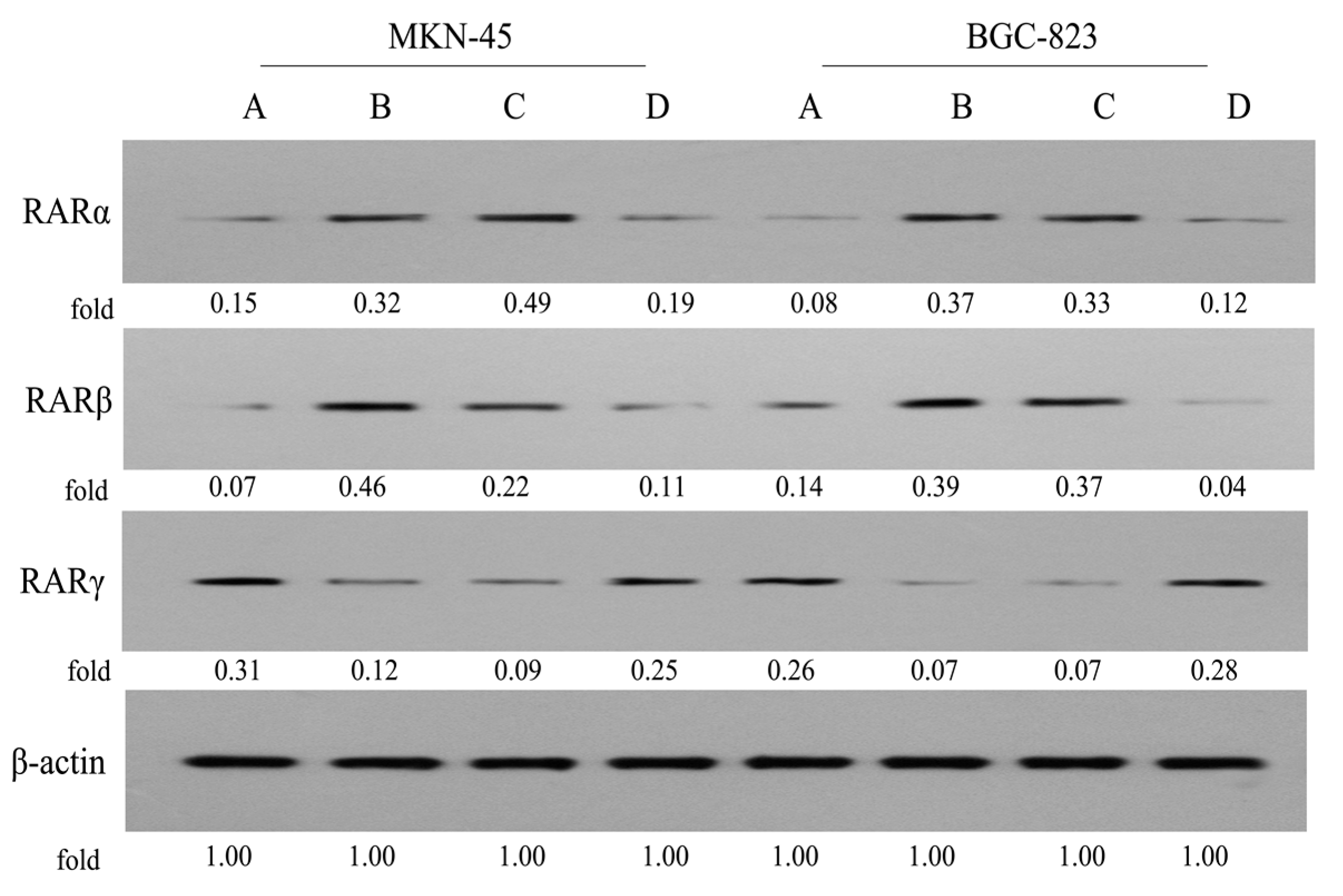 Molecules 22 00628 g009