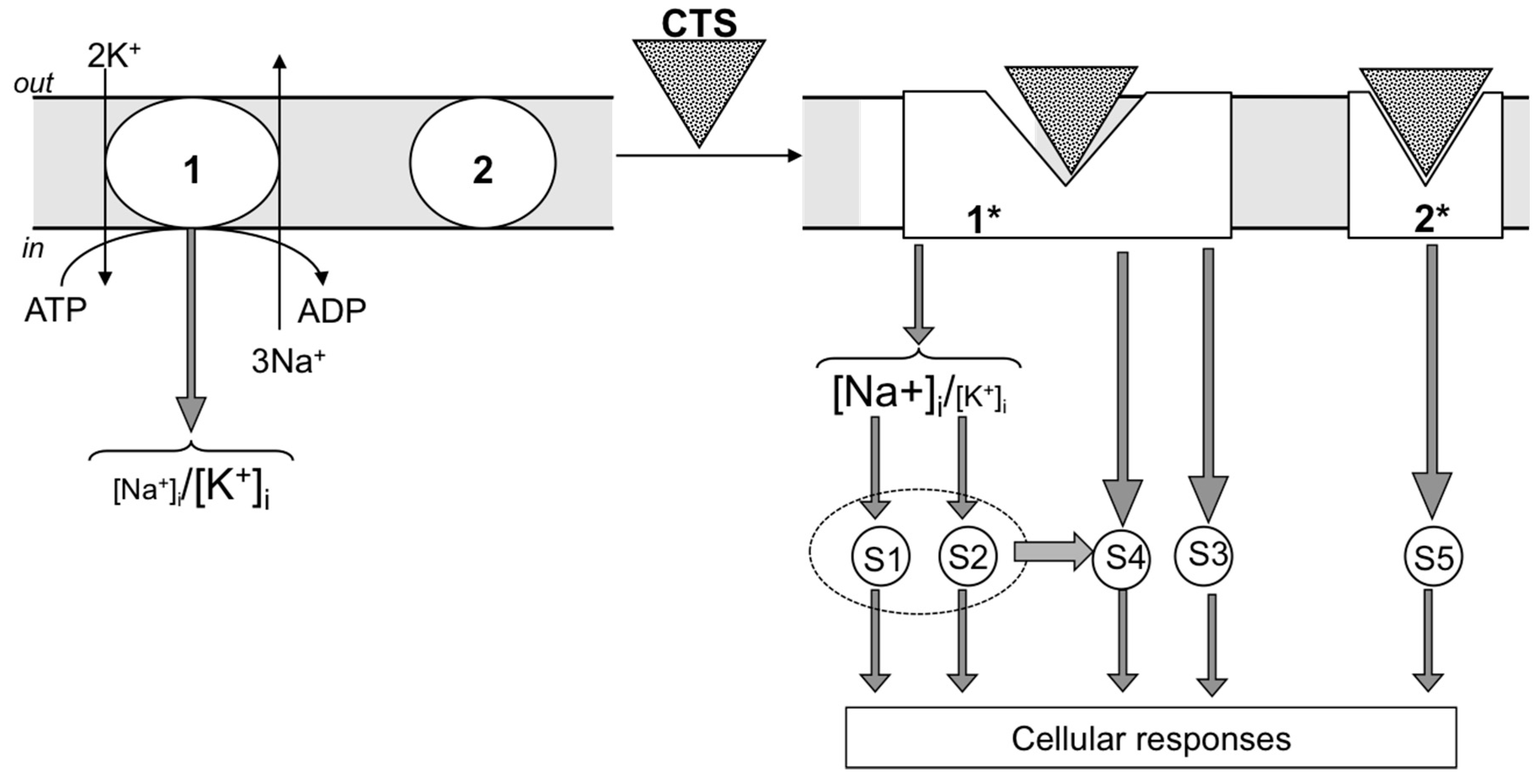 Molecules 22 00635 g002