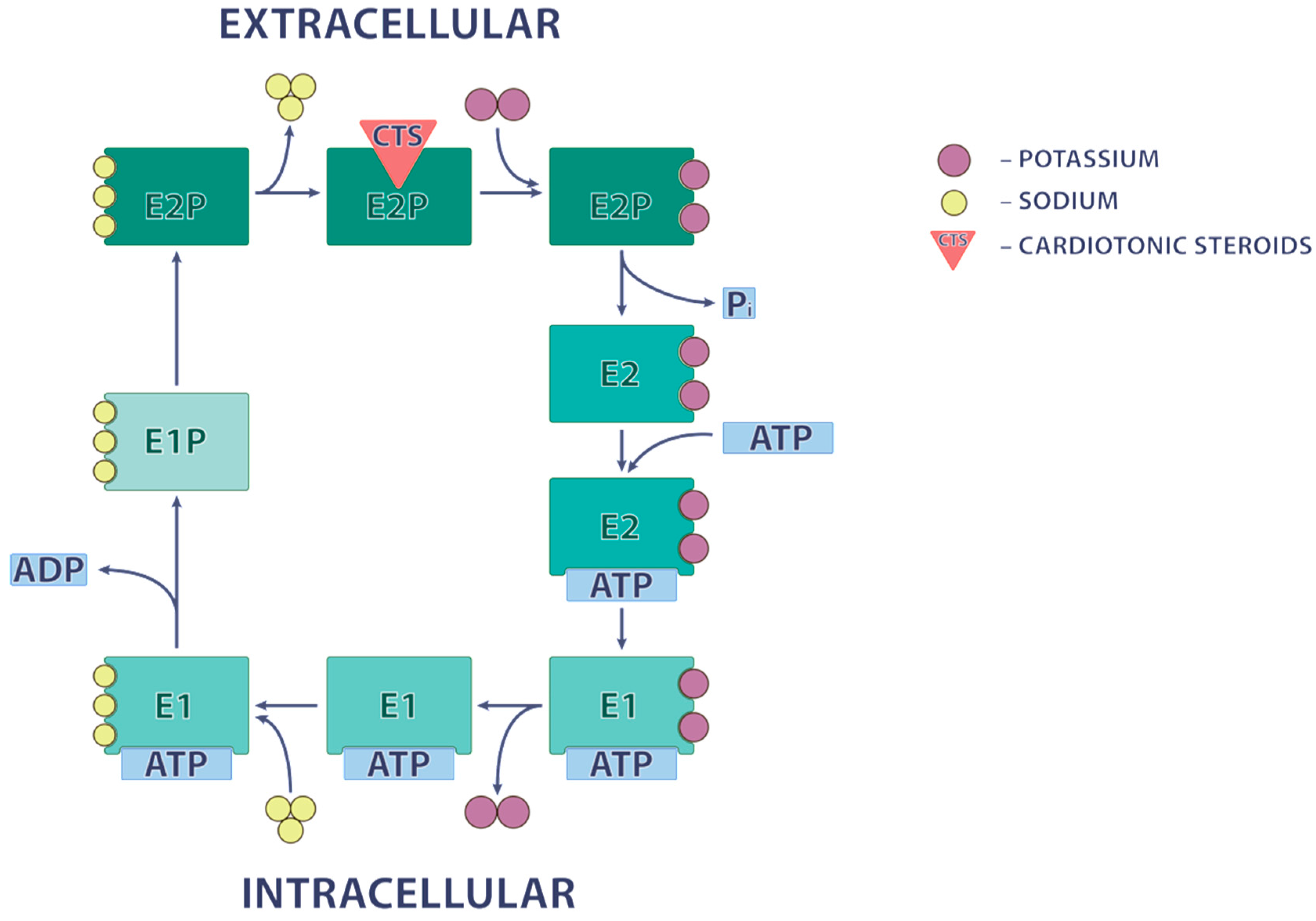 Molecules 22 00635 g003