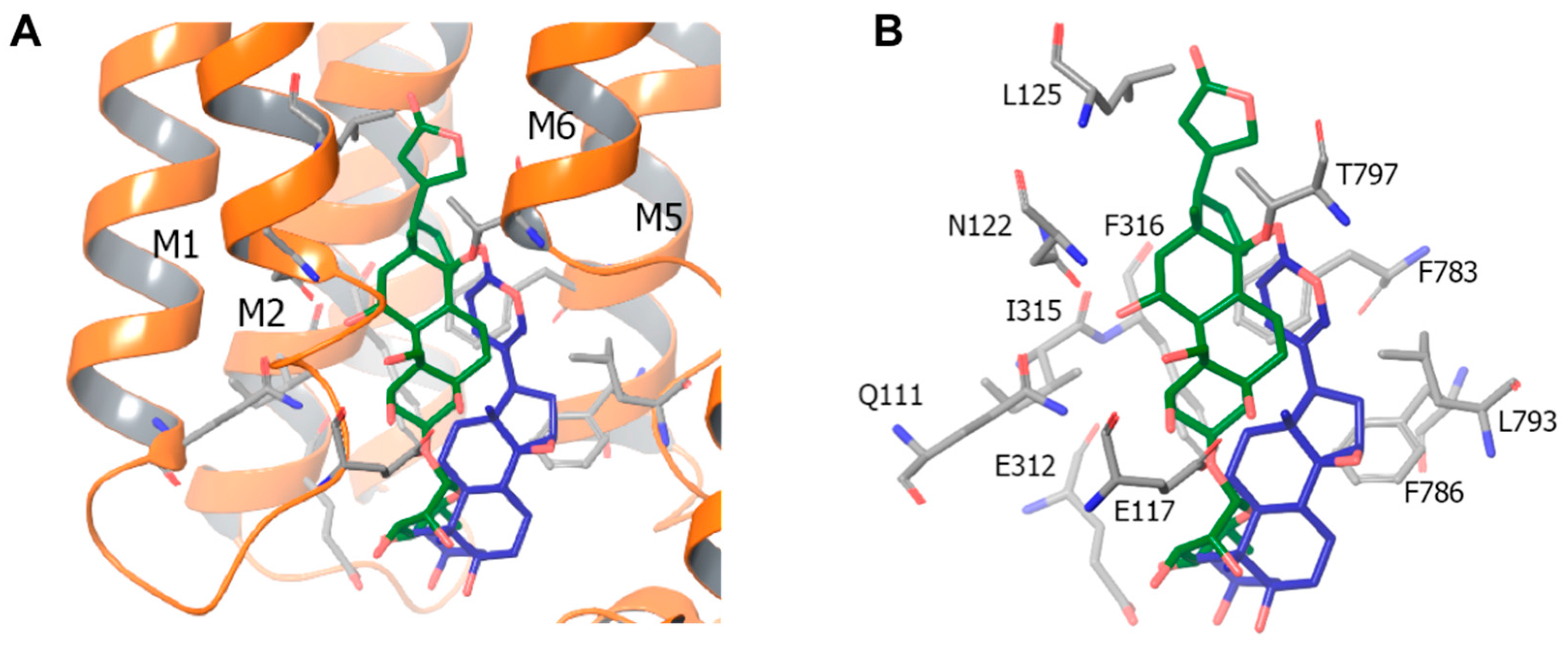 Molecules 22 00635 g005