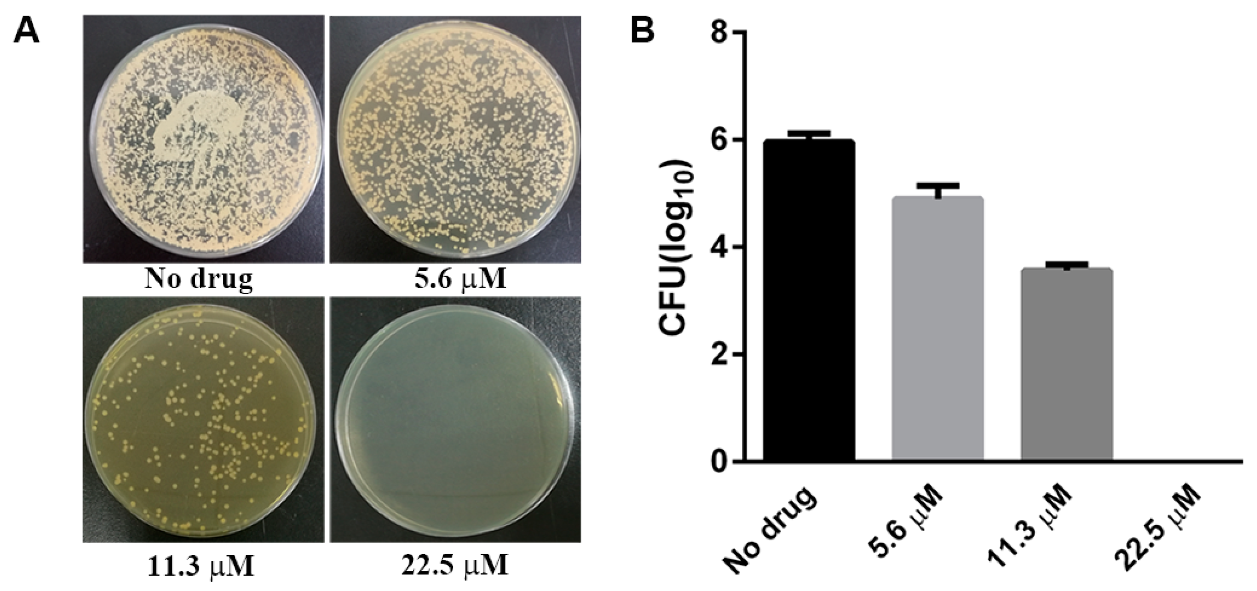 Molecules 22 00637 g002