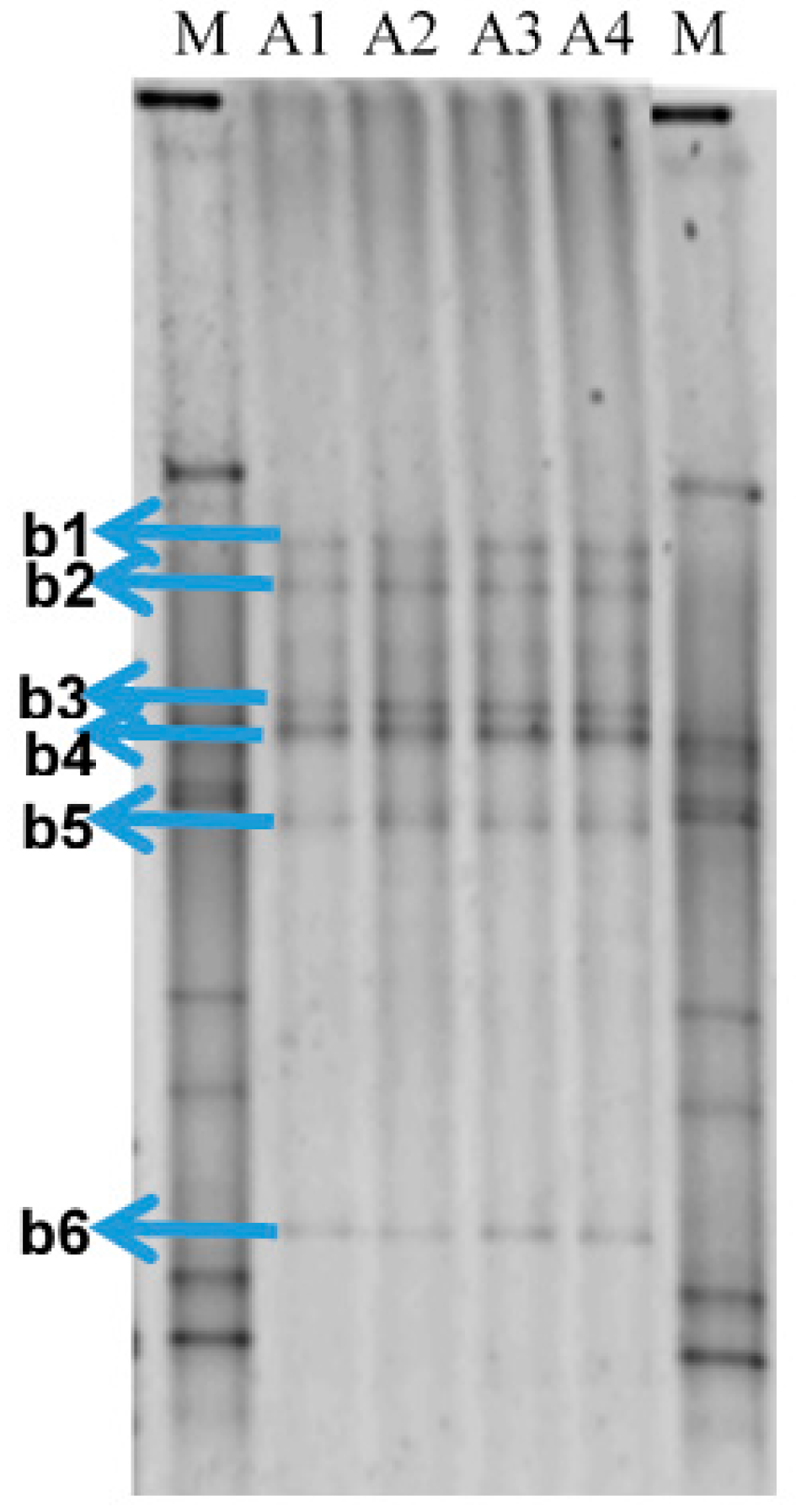 Molecules 22 00648 g001
