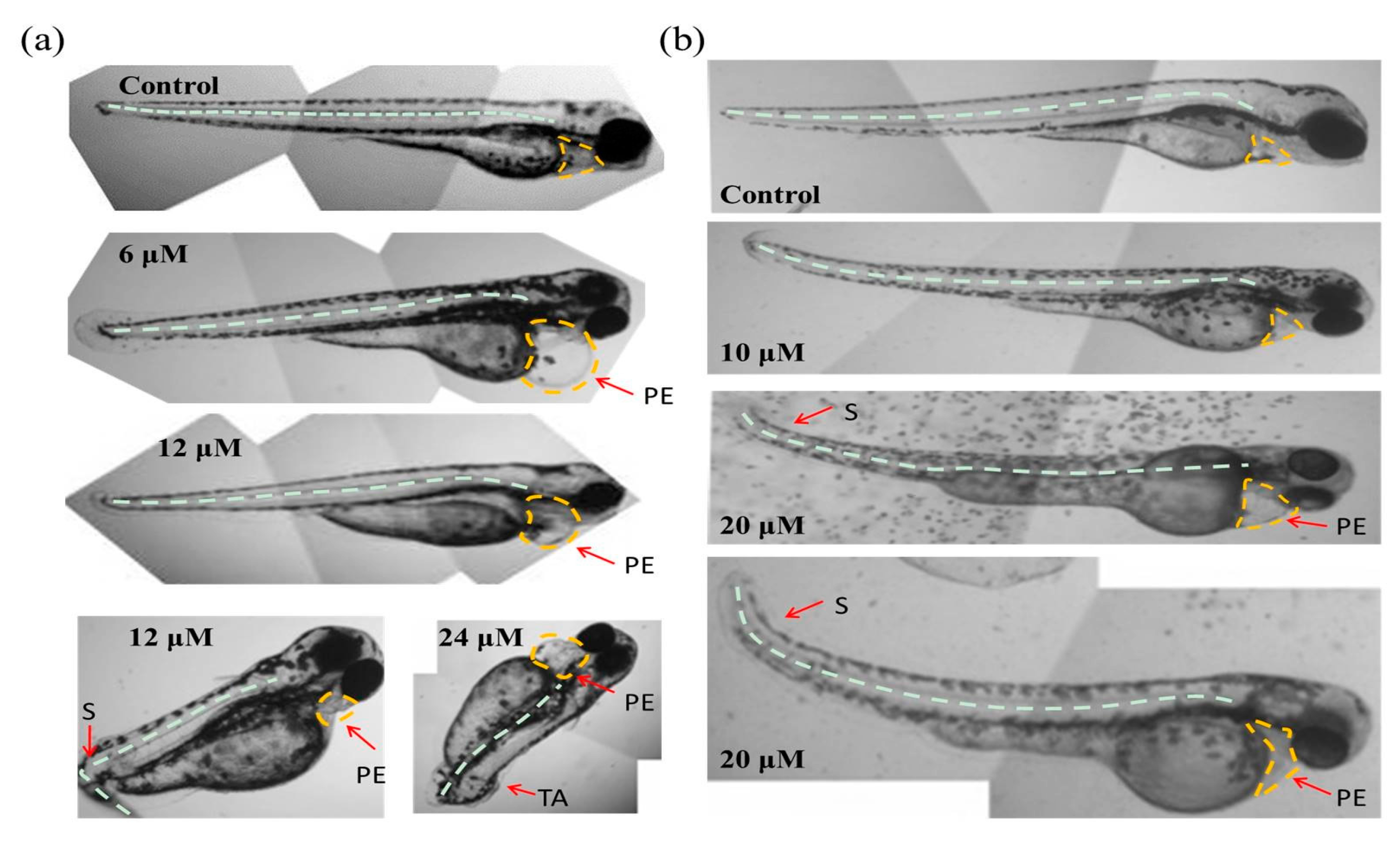 Molecules 22 00660 g004