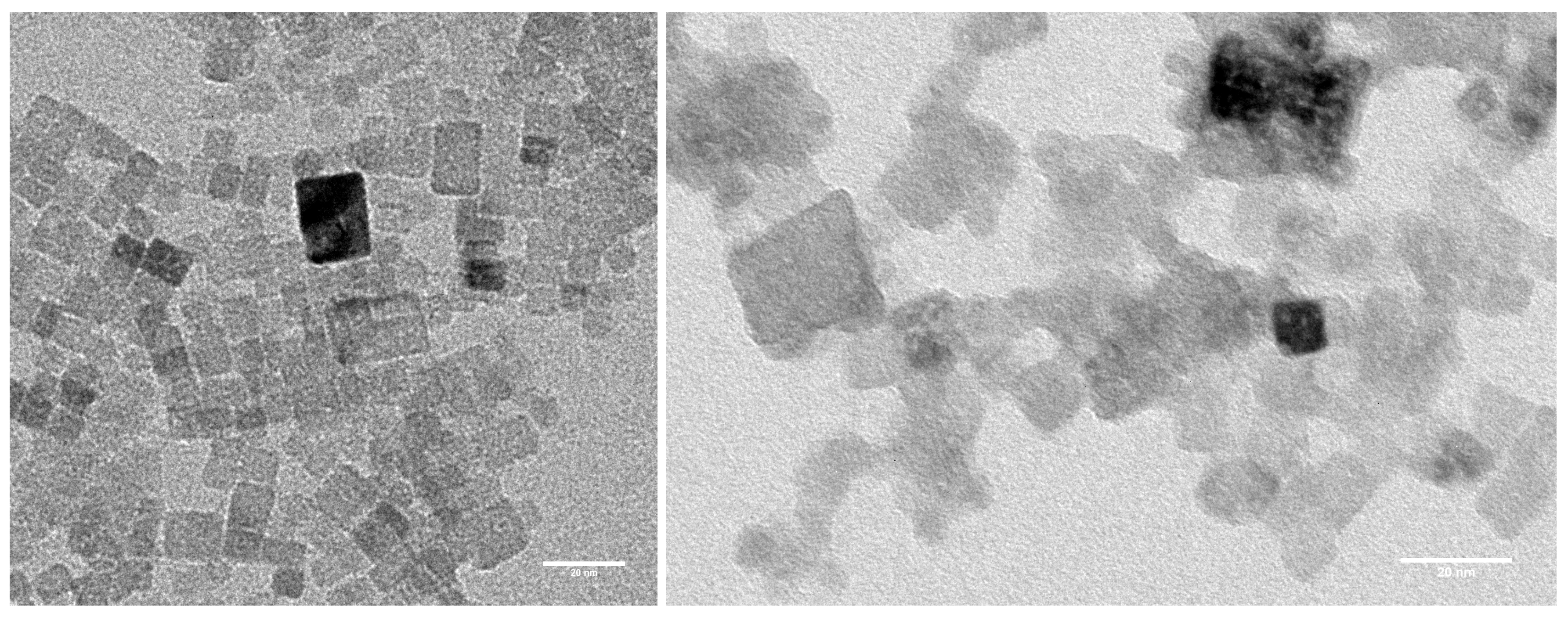 Molecules 22 00663 g006