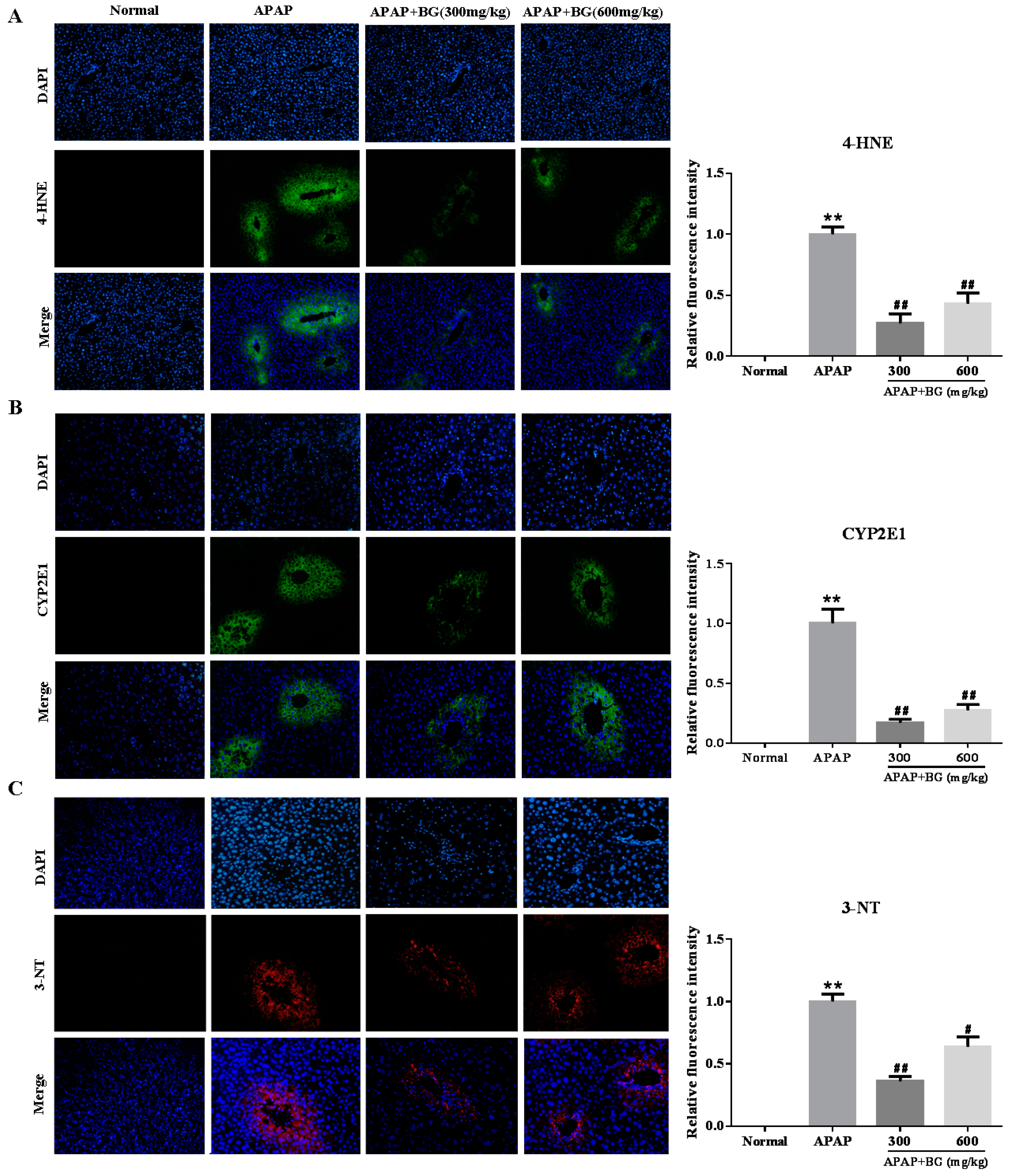 Molecules 22 00664 g003