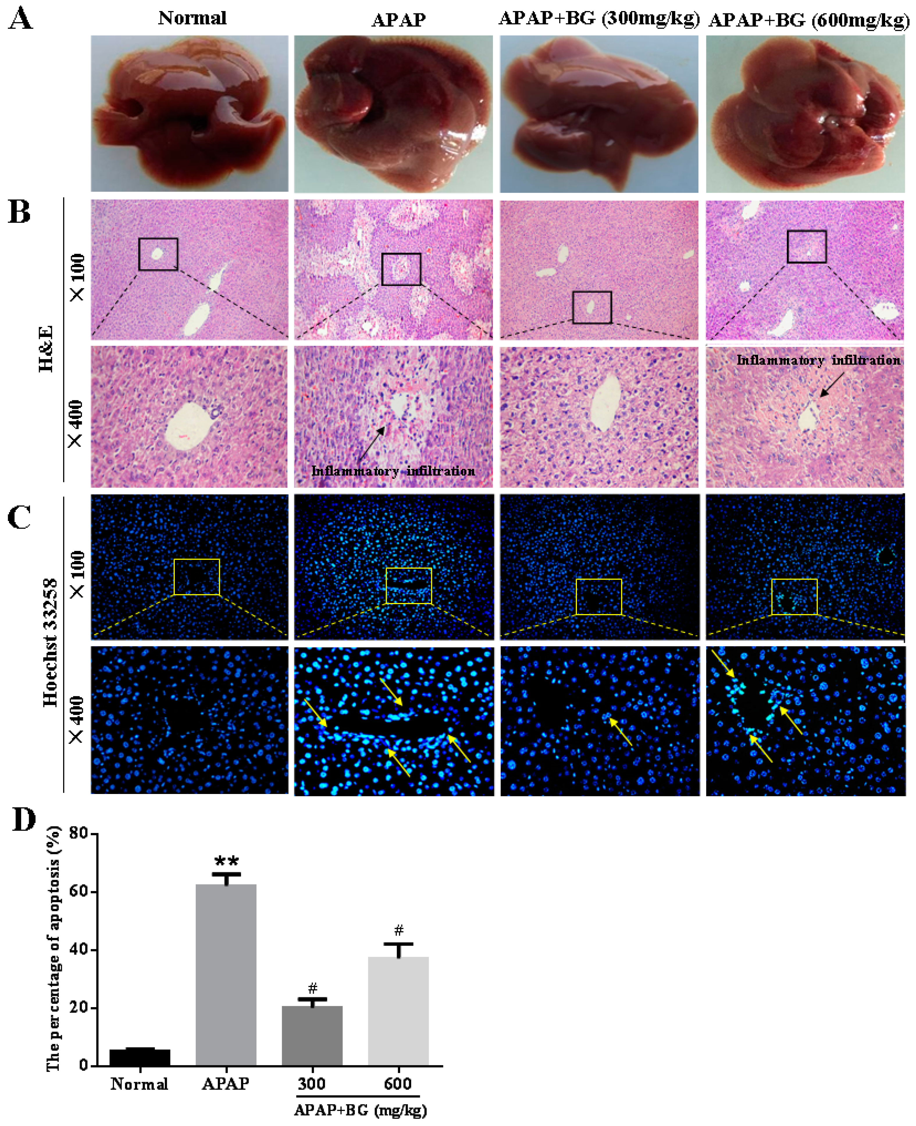 Molecules 22 00664 g004
