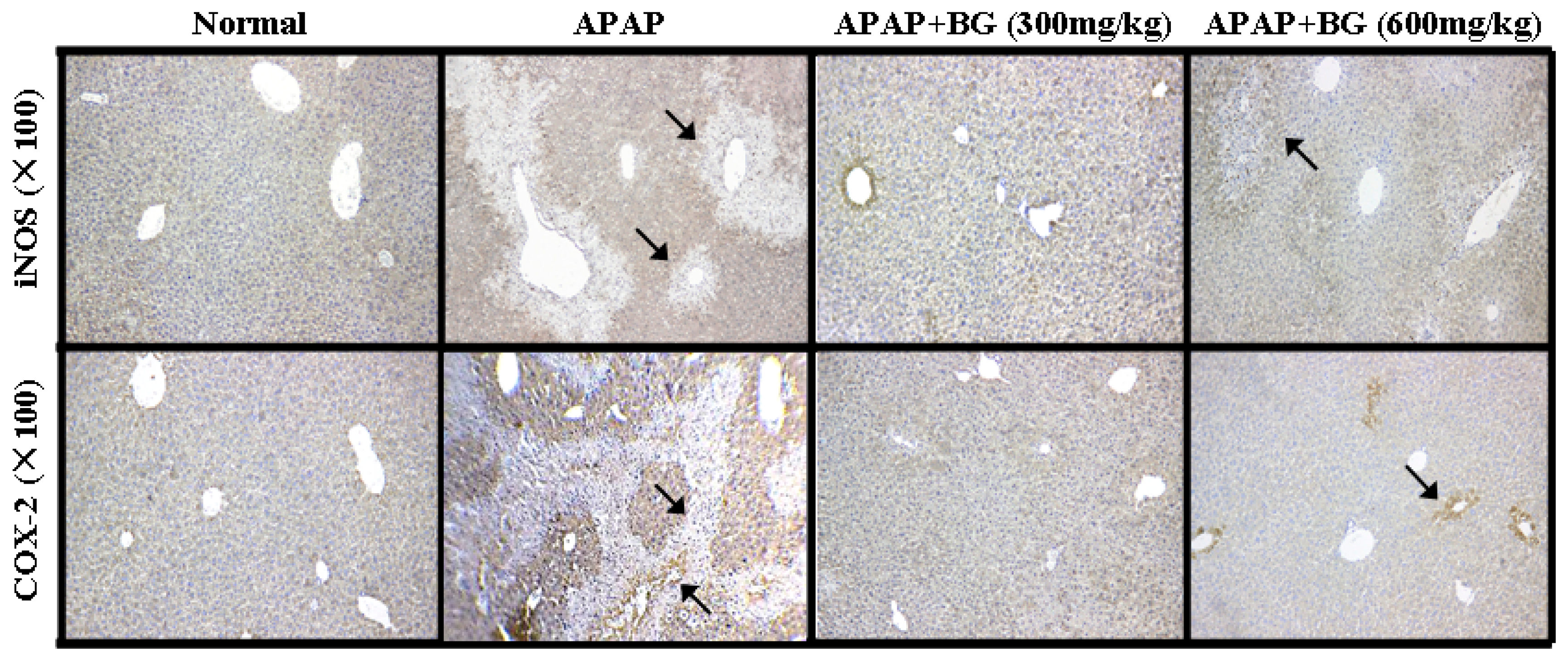 Molecules 22 00664 g006