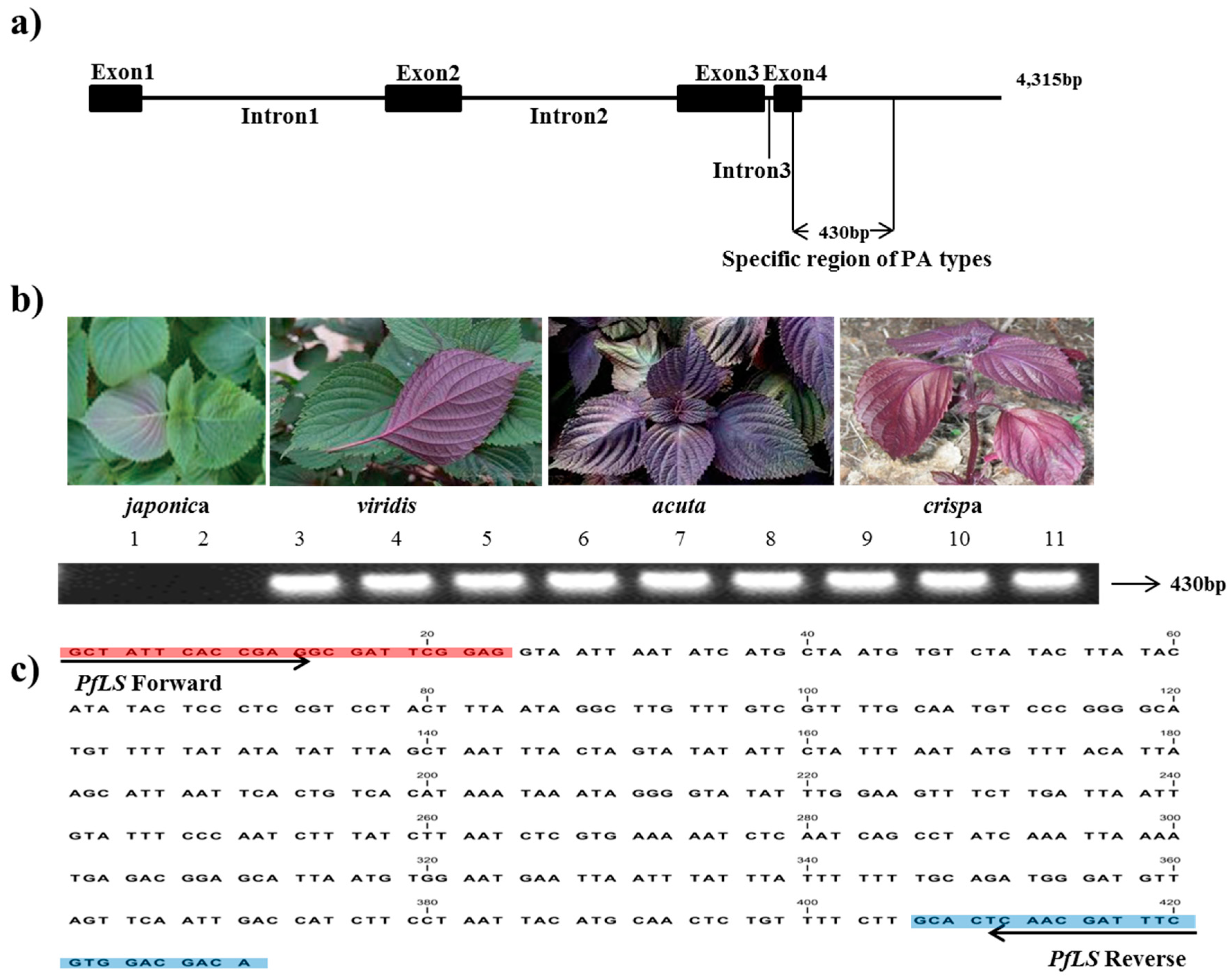 Molecules 22 00665 g001