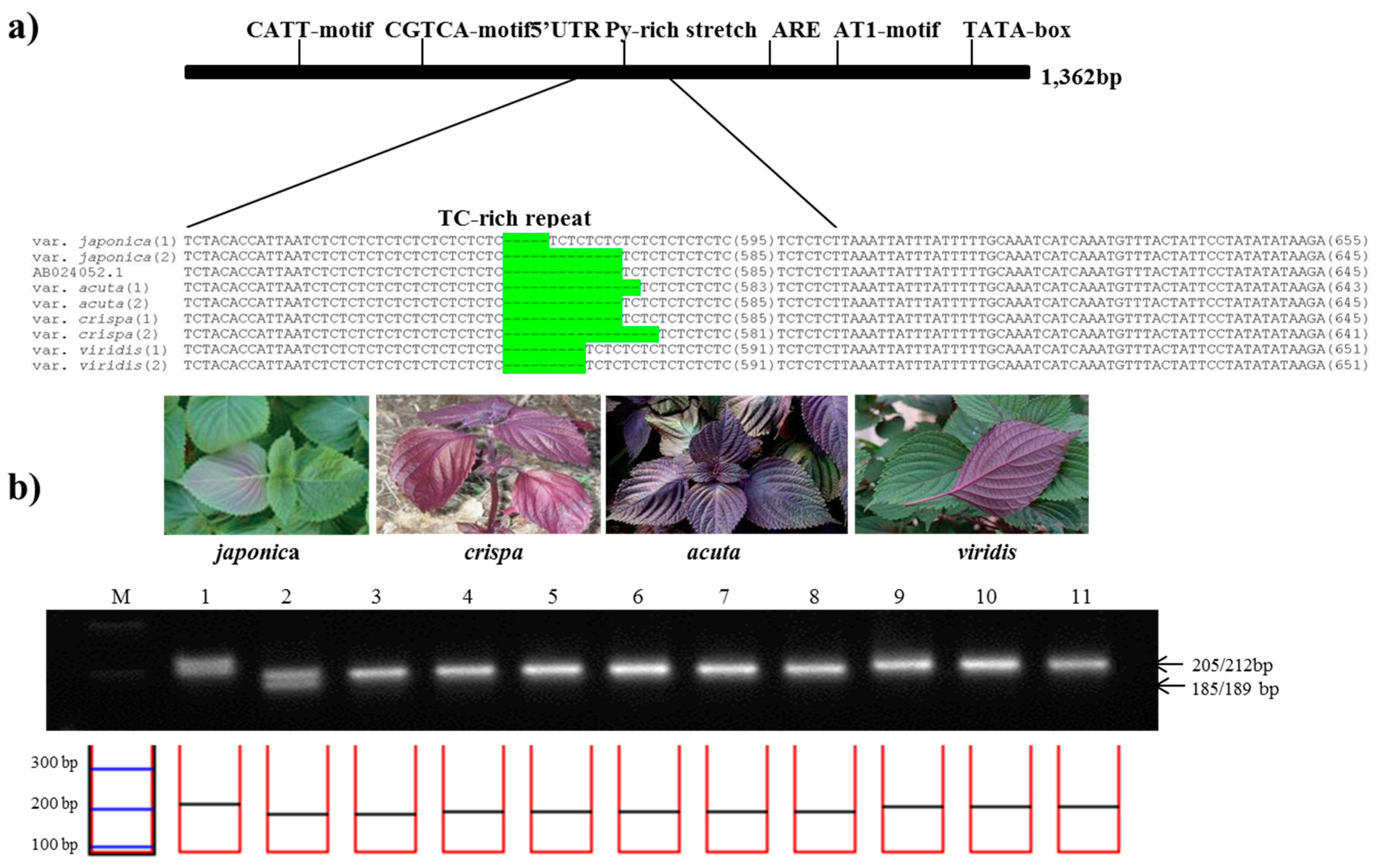 Molecules 22 00665 g003