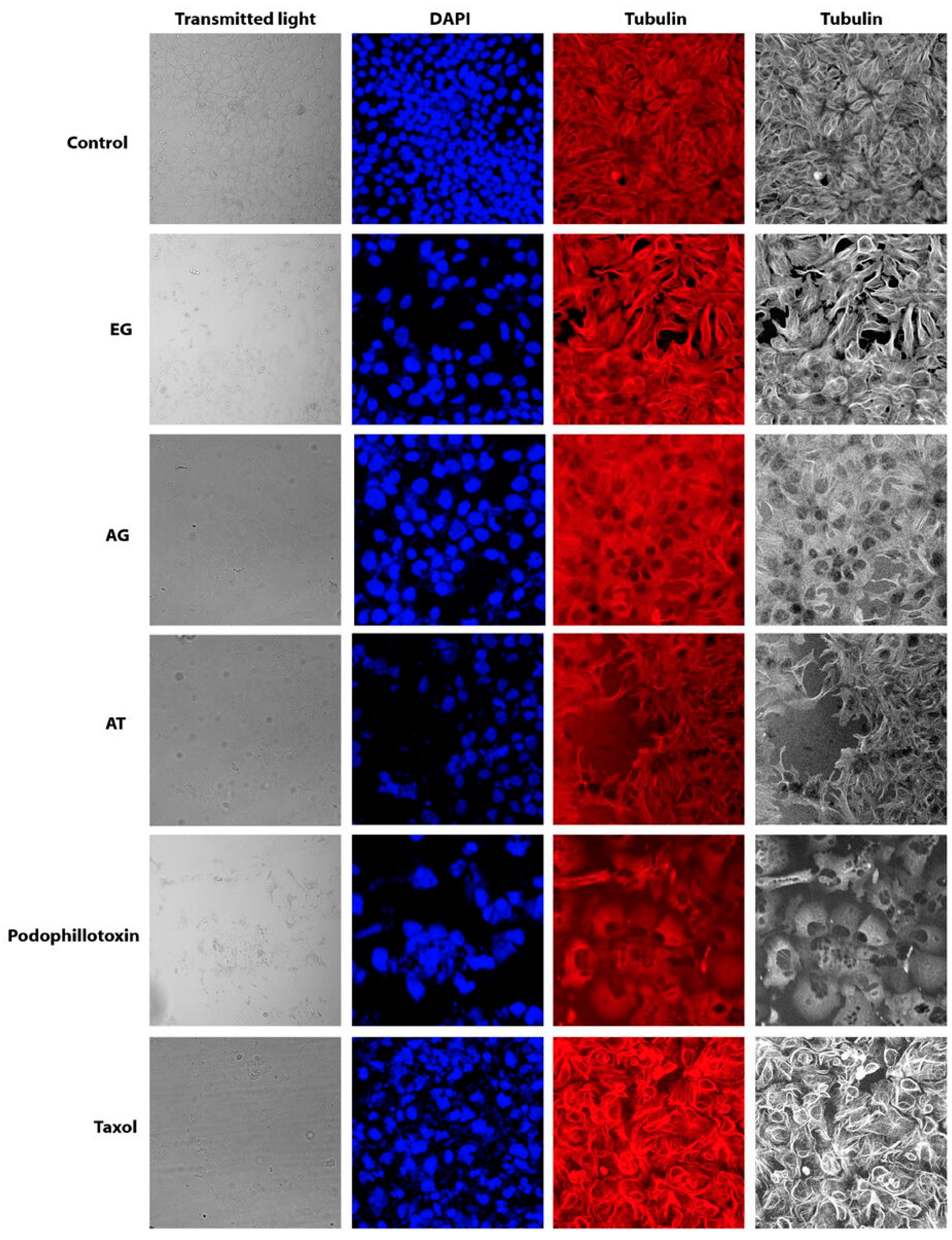 Molecules 22 00666 g003