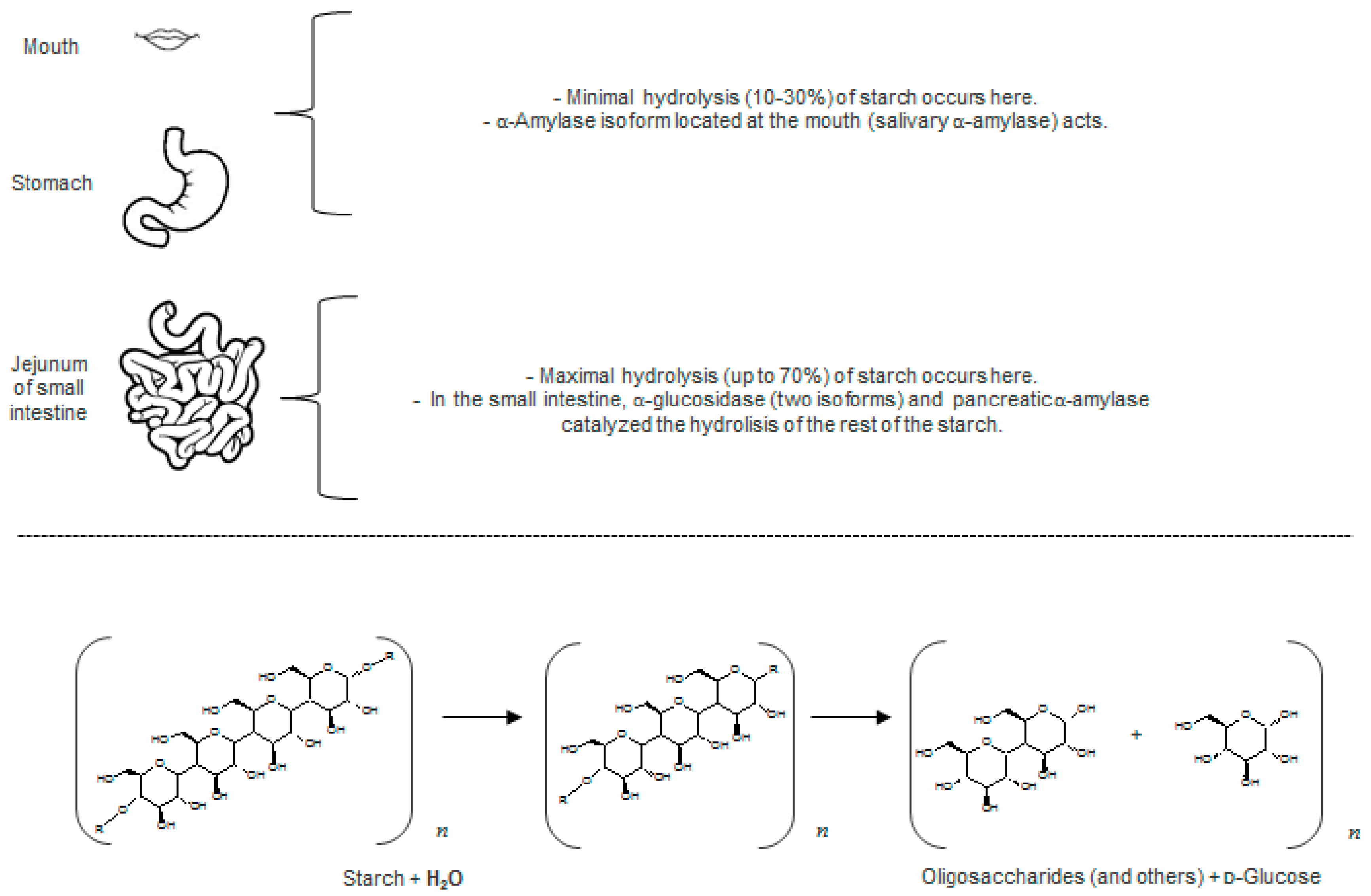 Molecules 22 00669 g002