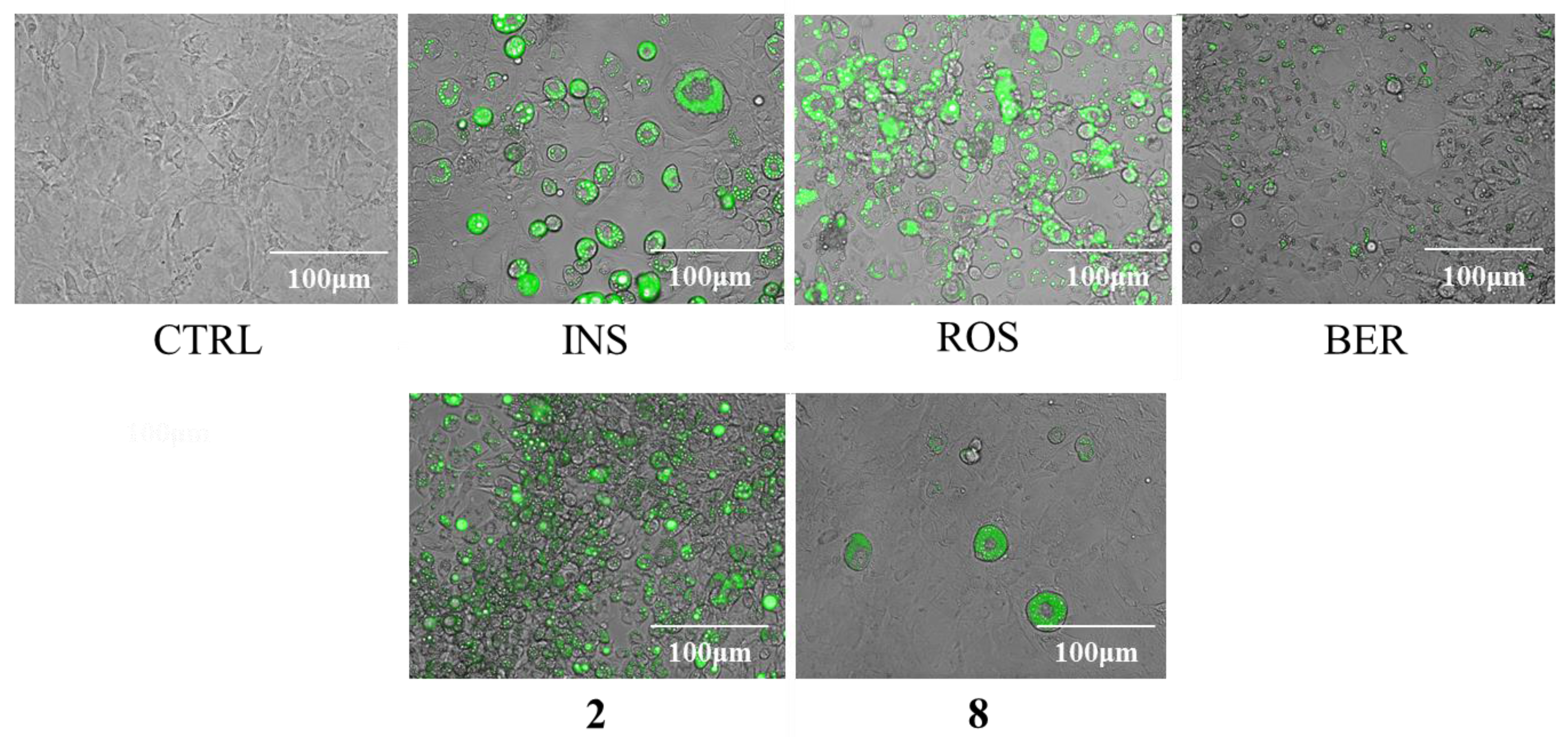 Molecules 22 00671 g004