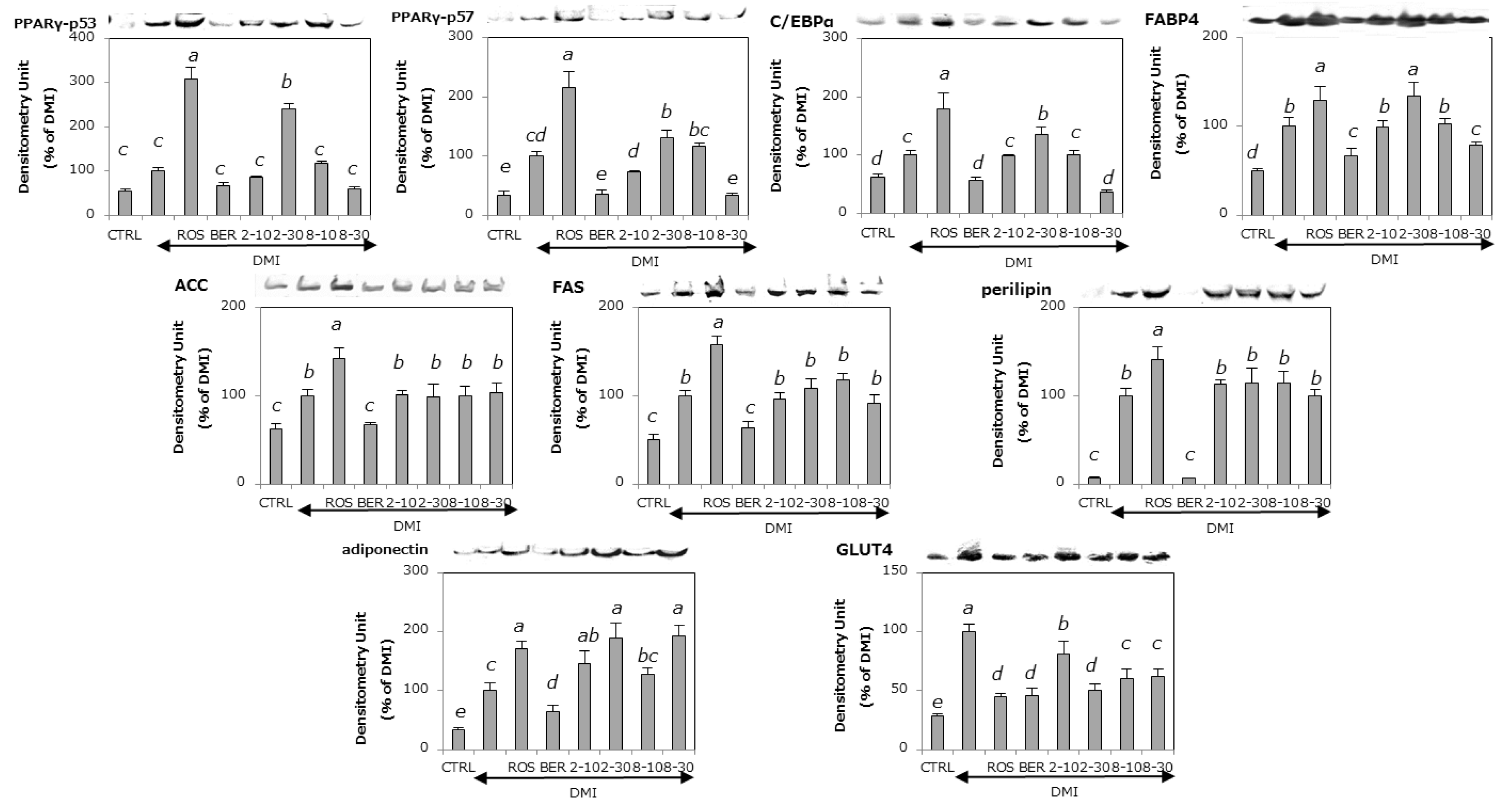 Molecules 22 00671 g005