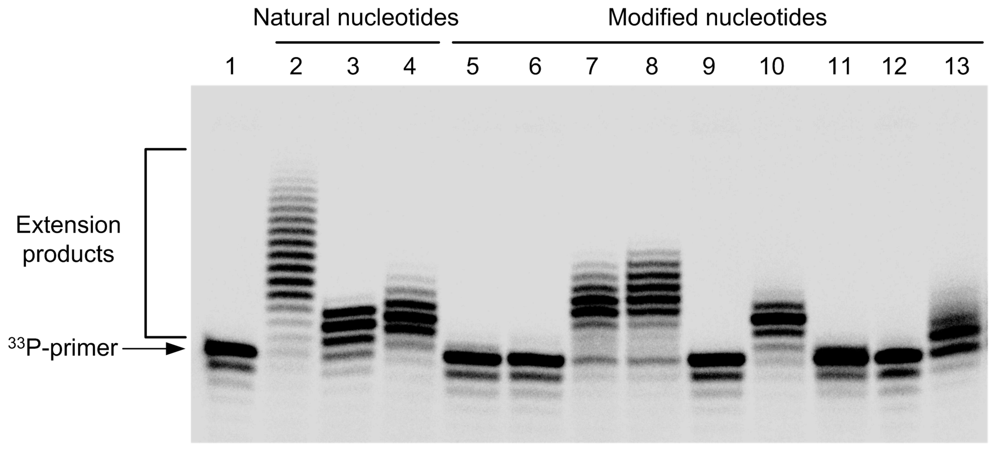 Molecules 22 00672 g001