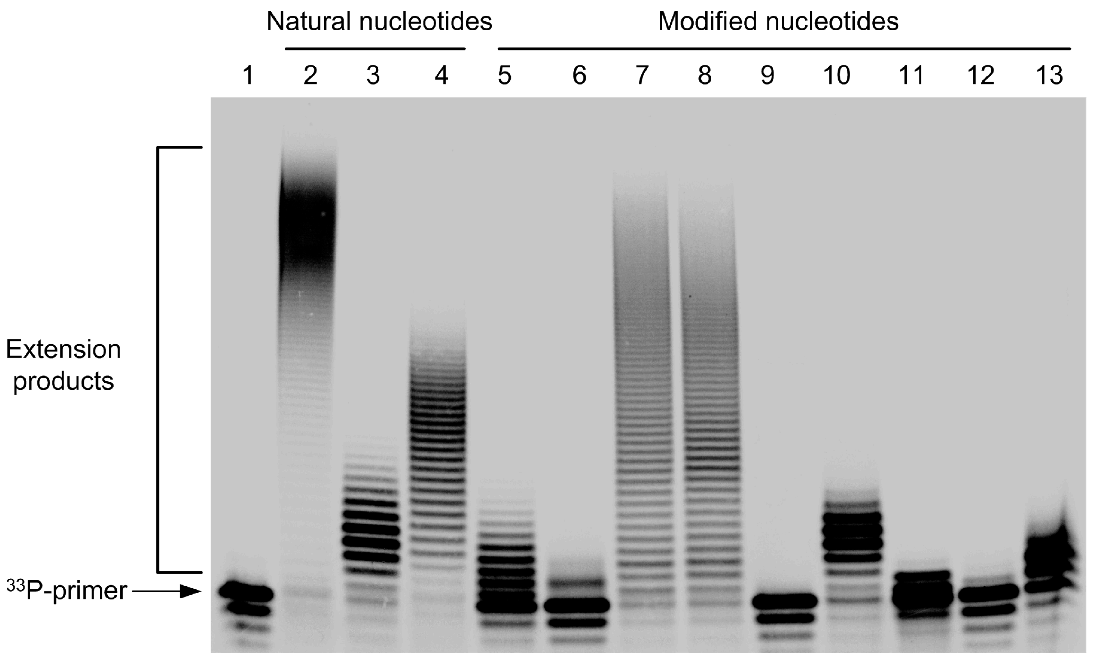 Molecules 22 00672 g002