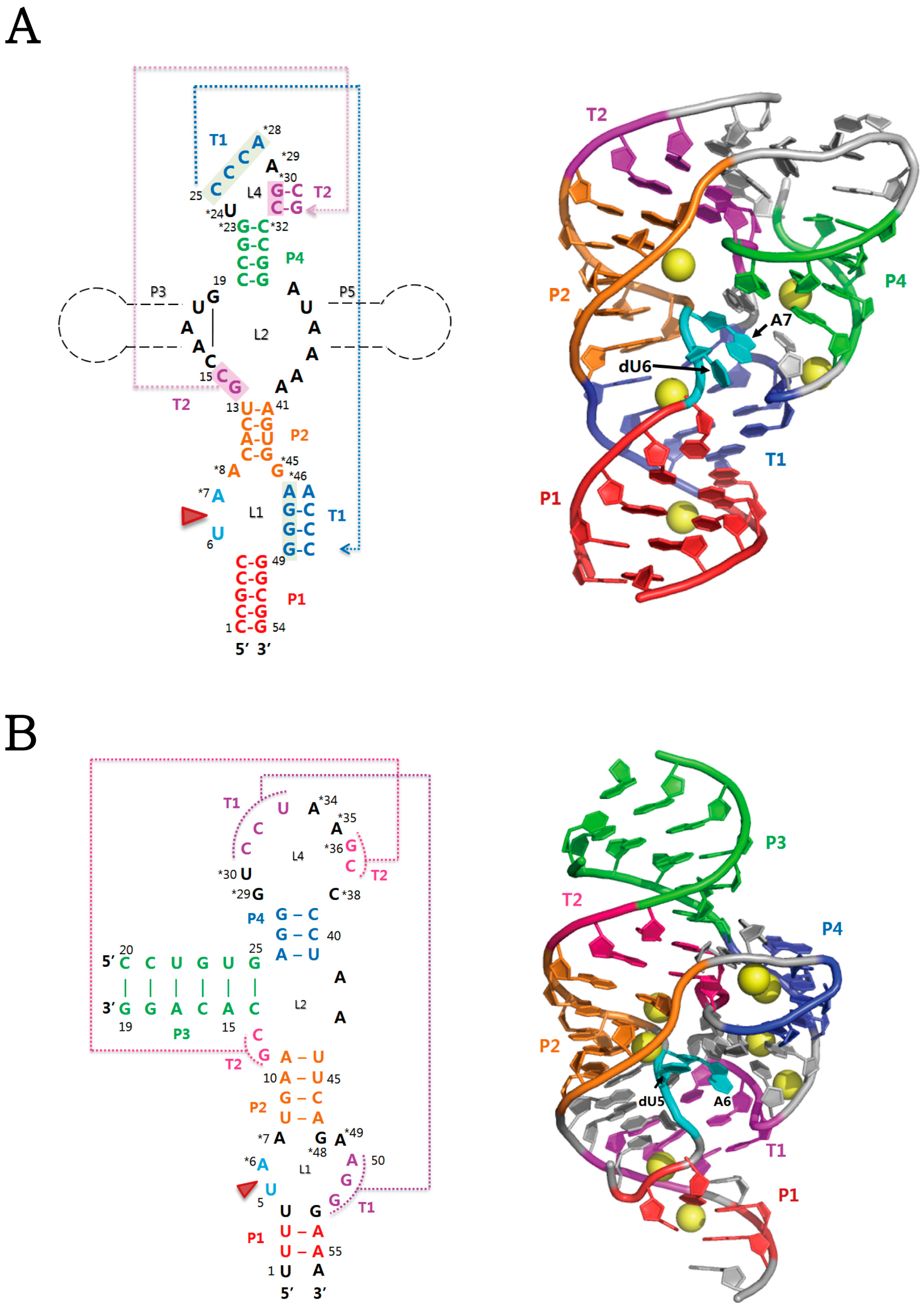 Molecules 22 00678 g001
