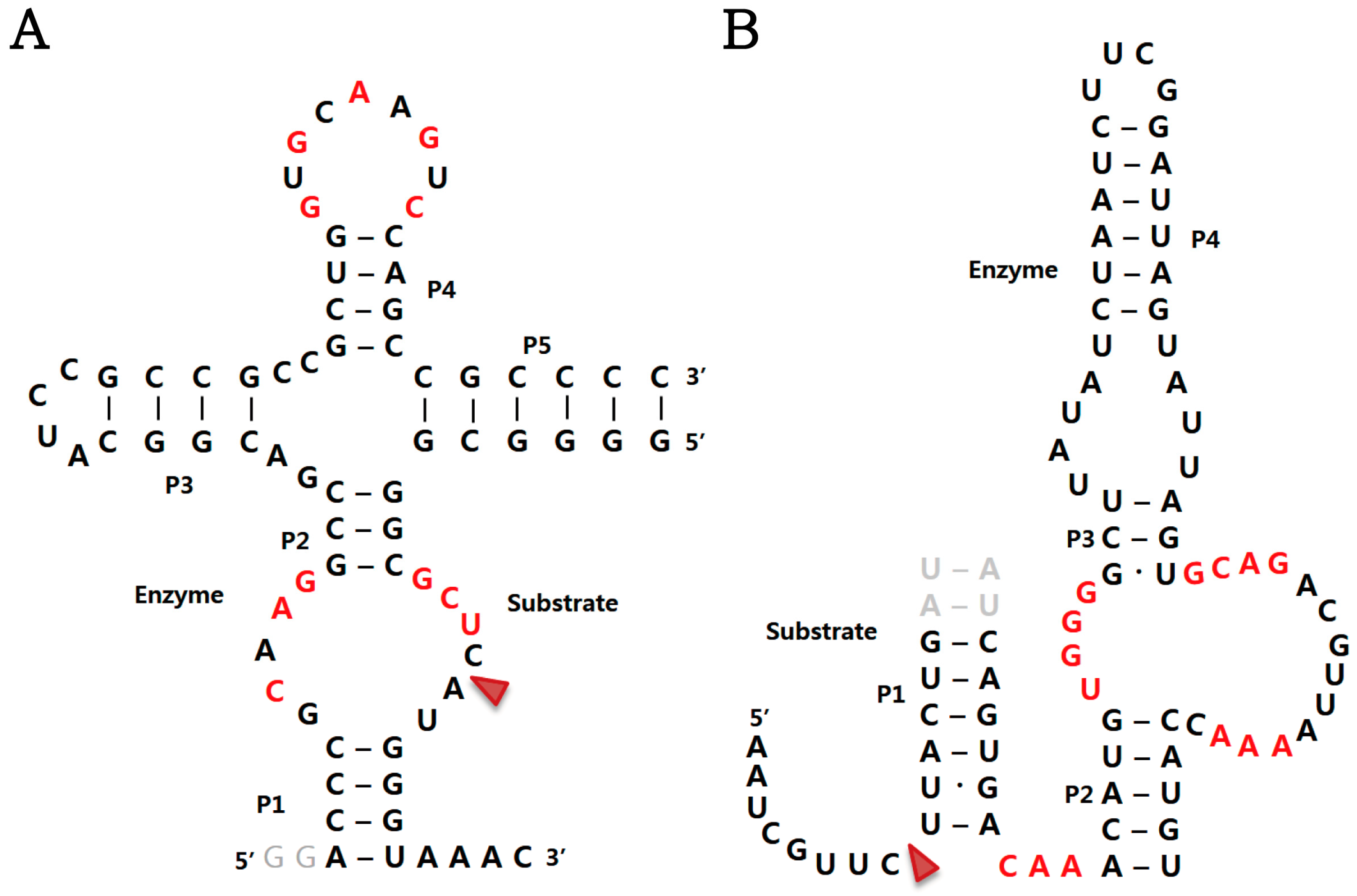 Molecules 22 00678 g002