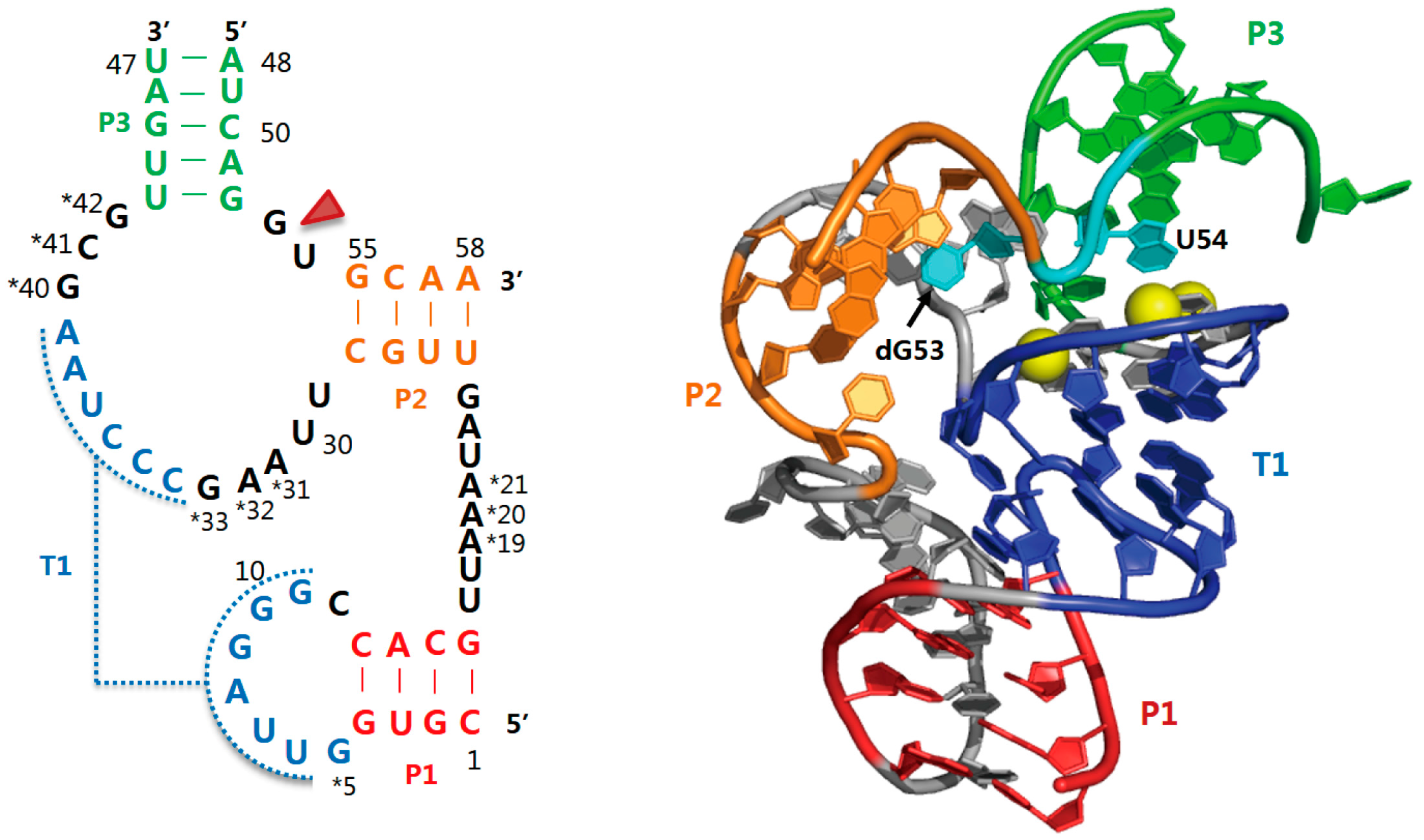 Molecules 22 00678 g003