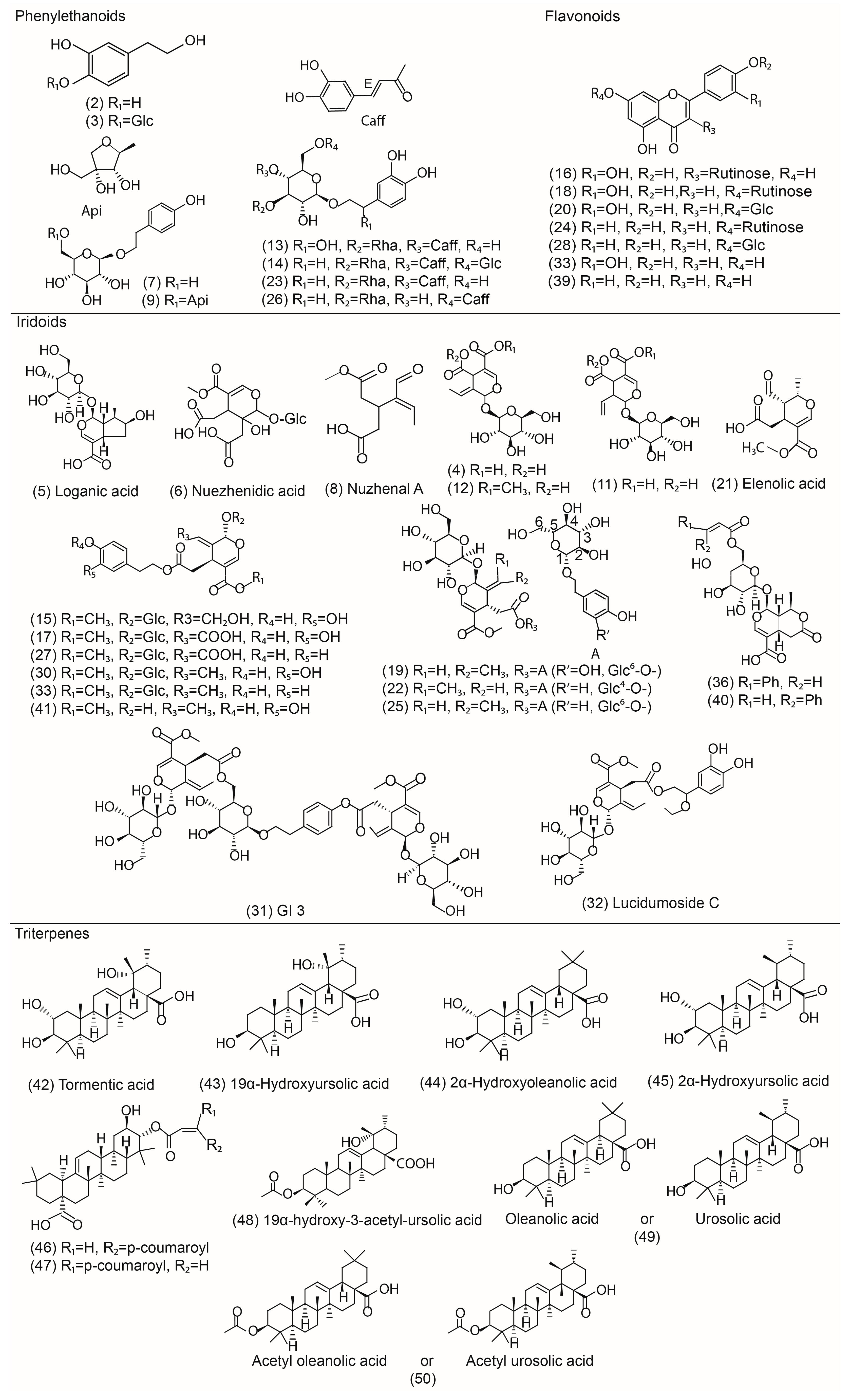 Molecules 22 00689 g002 Molecules 22 00689 g002