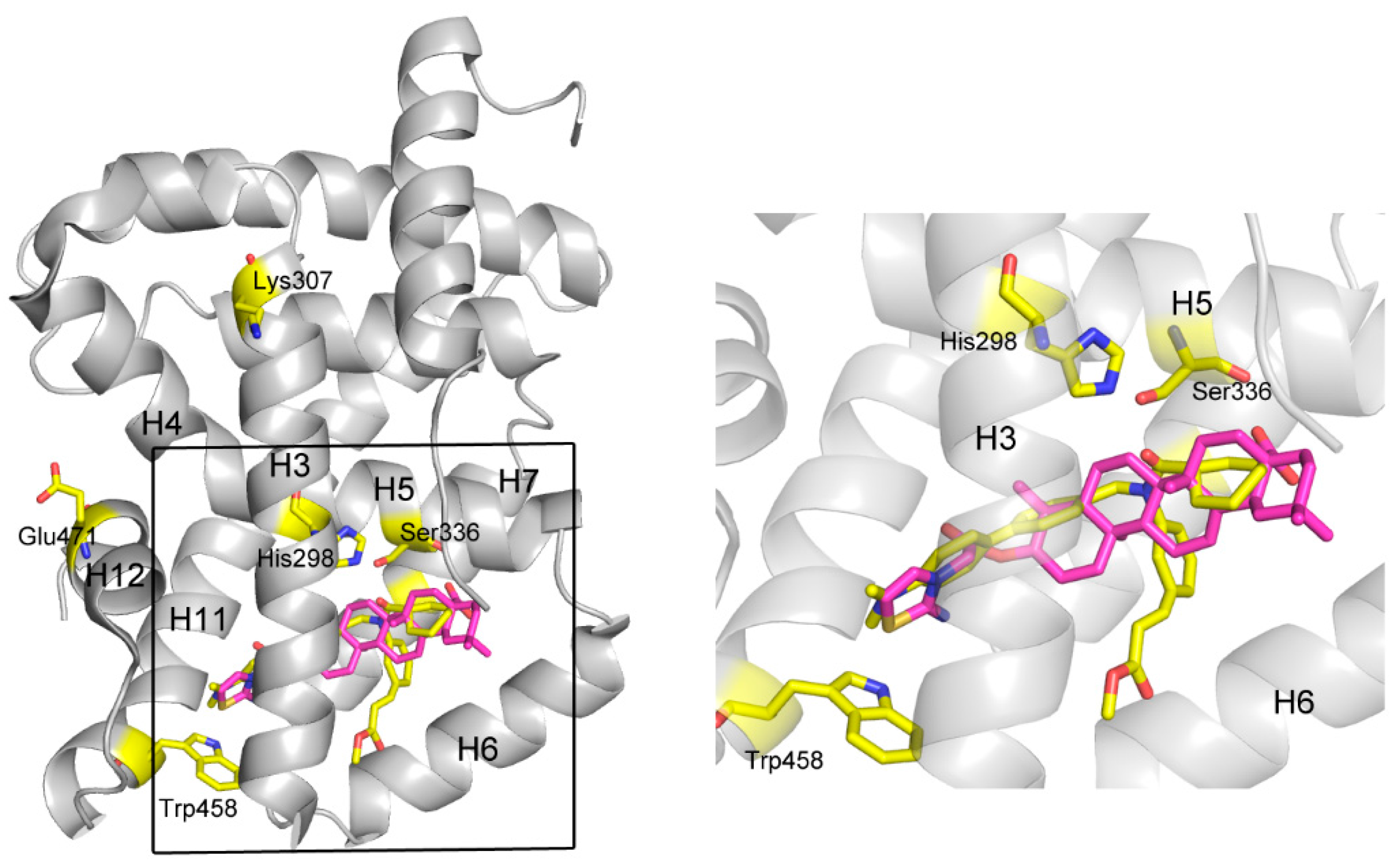 Molecules 22 00690 g004