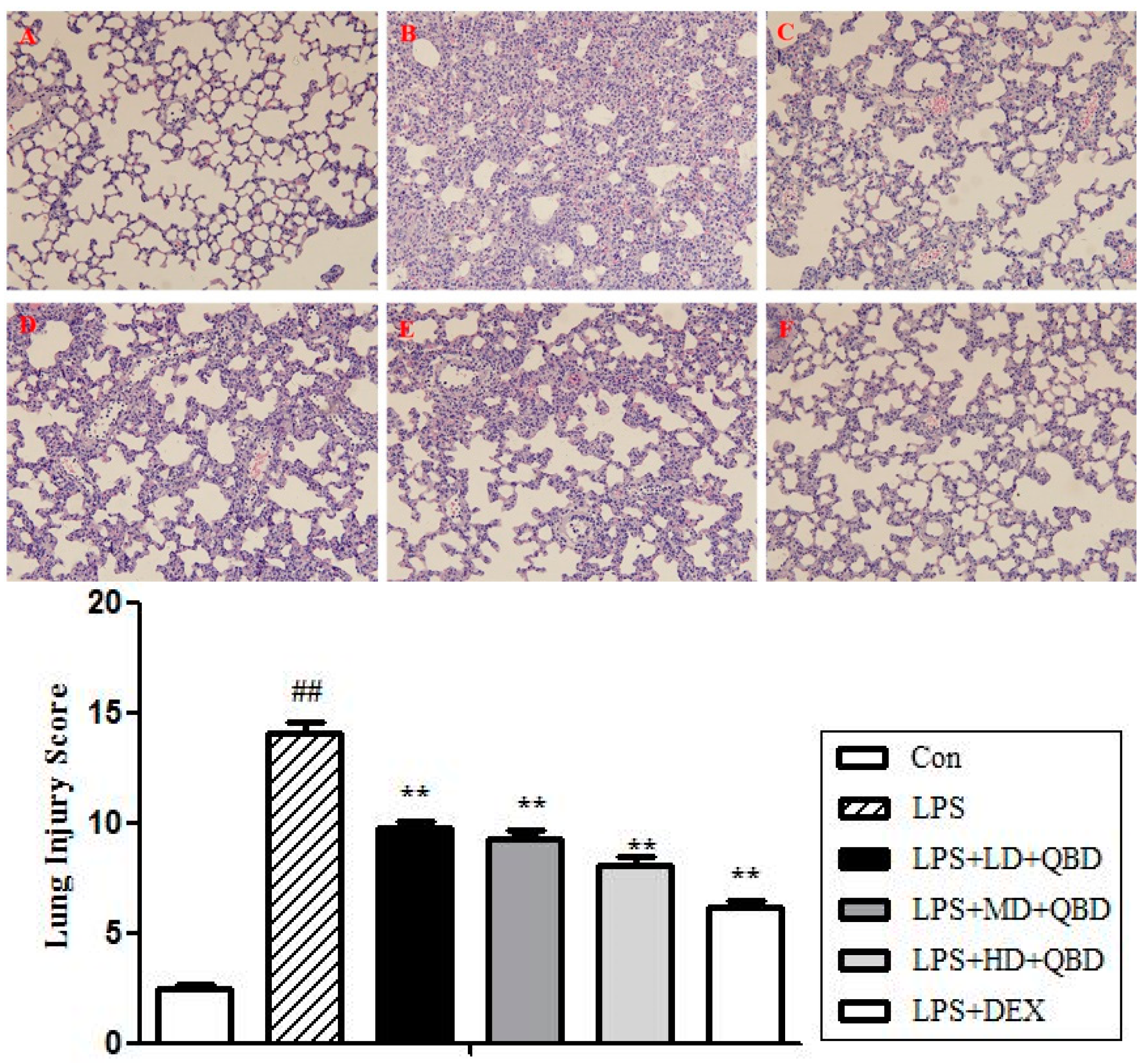 Molecules 22 00692 g002