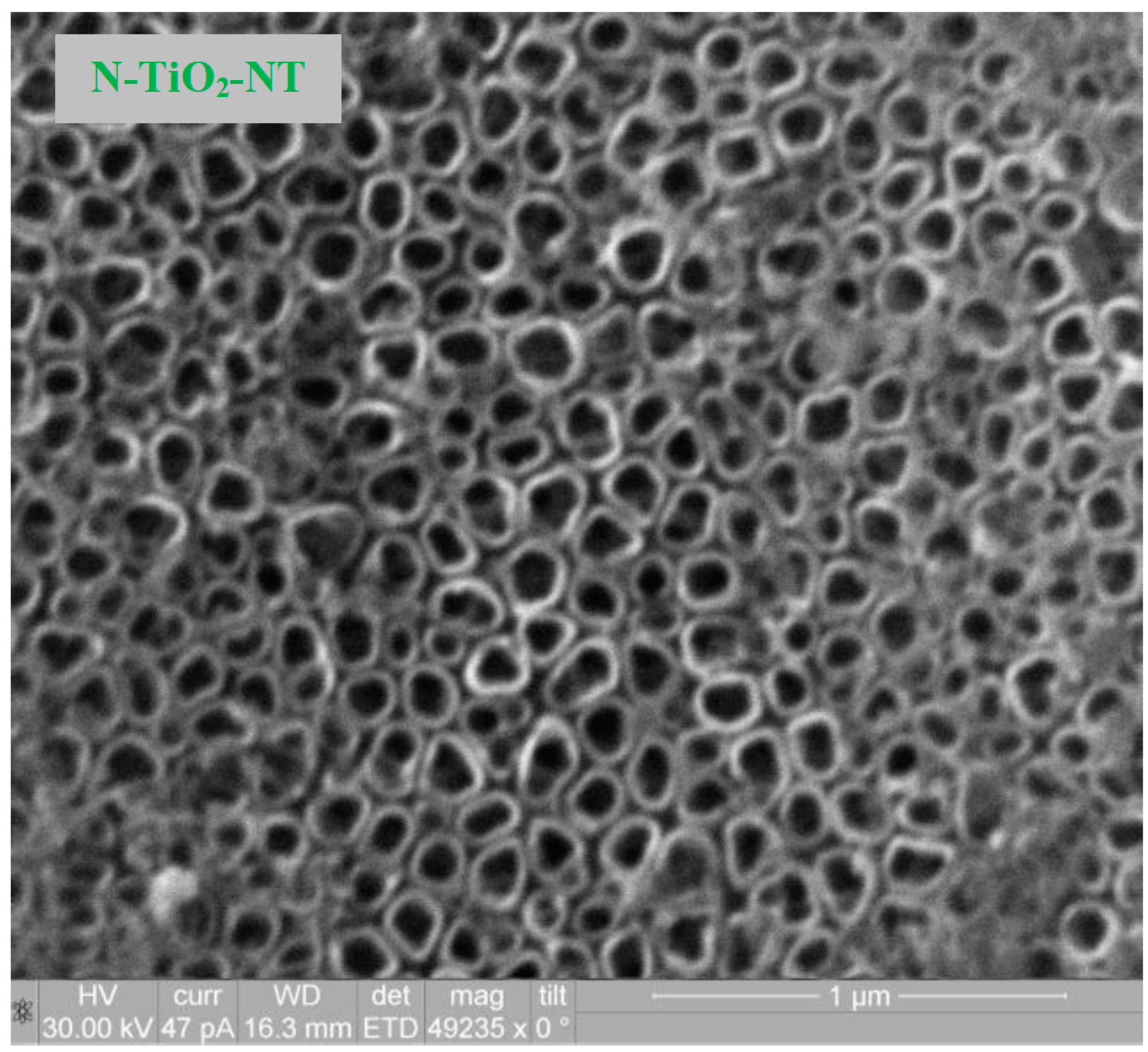 Molecules 22 00704 g001