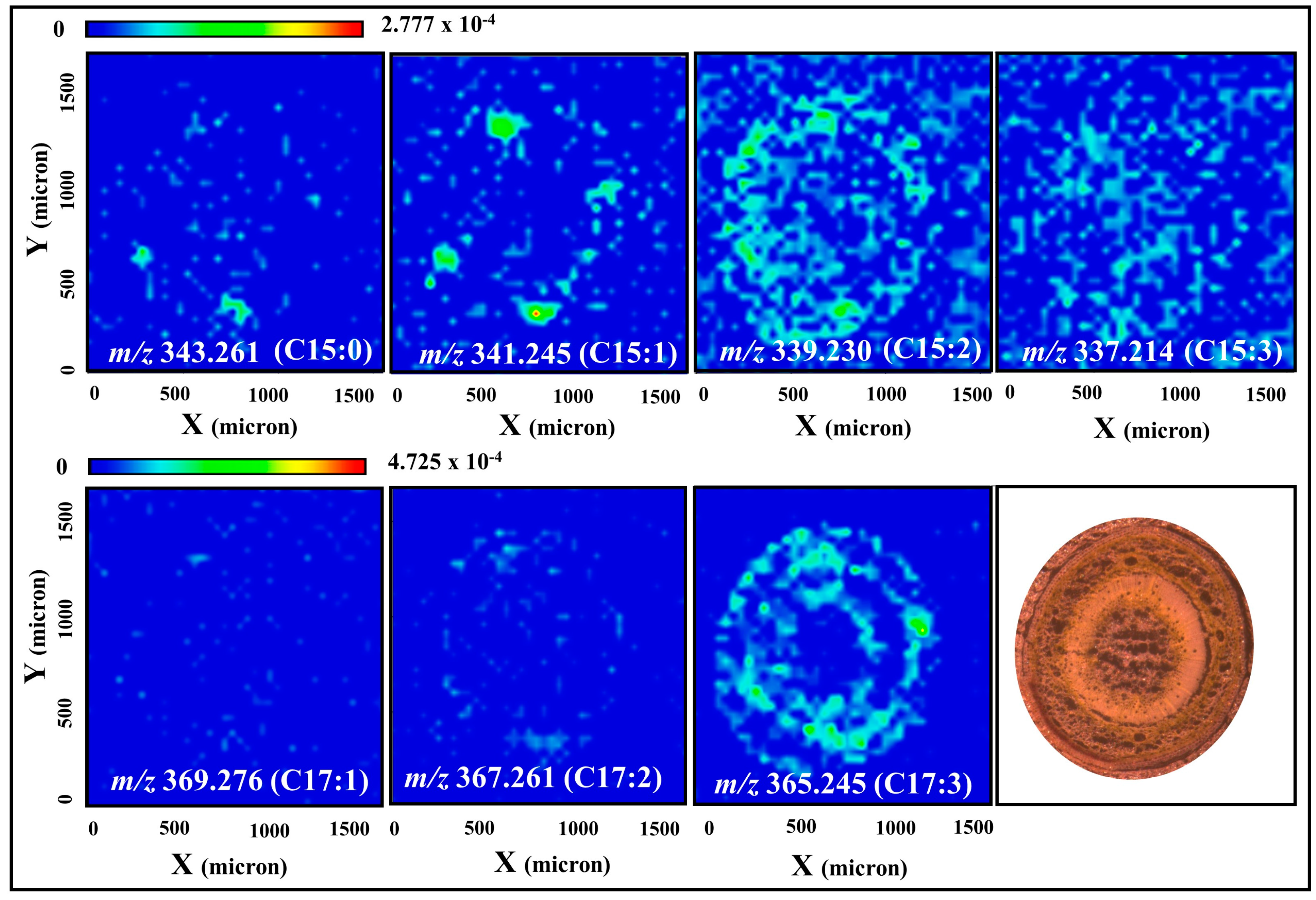 Molecules 22 00711 g004
