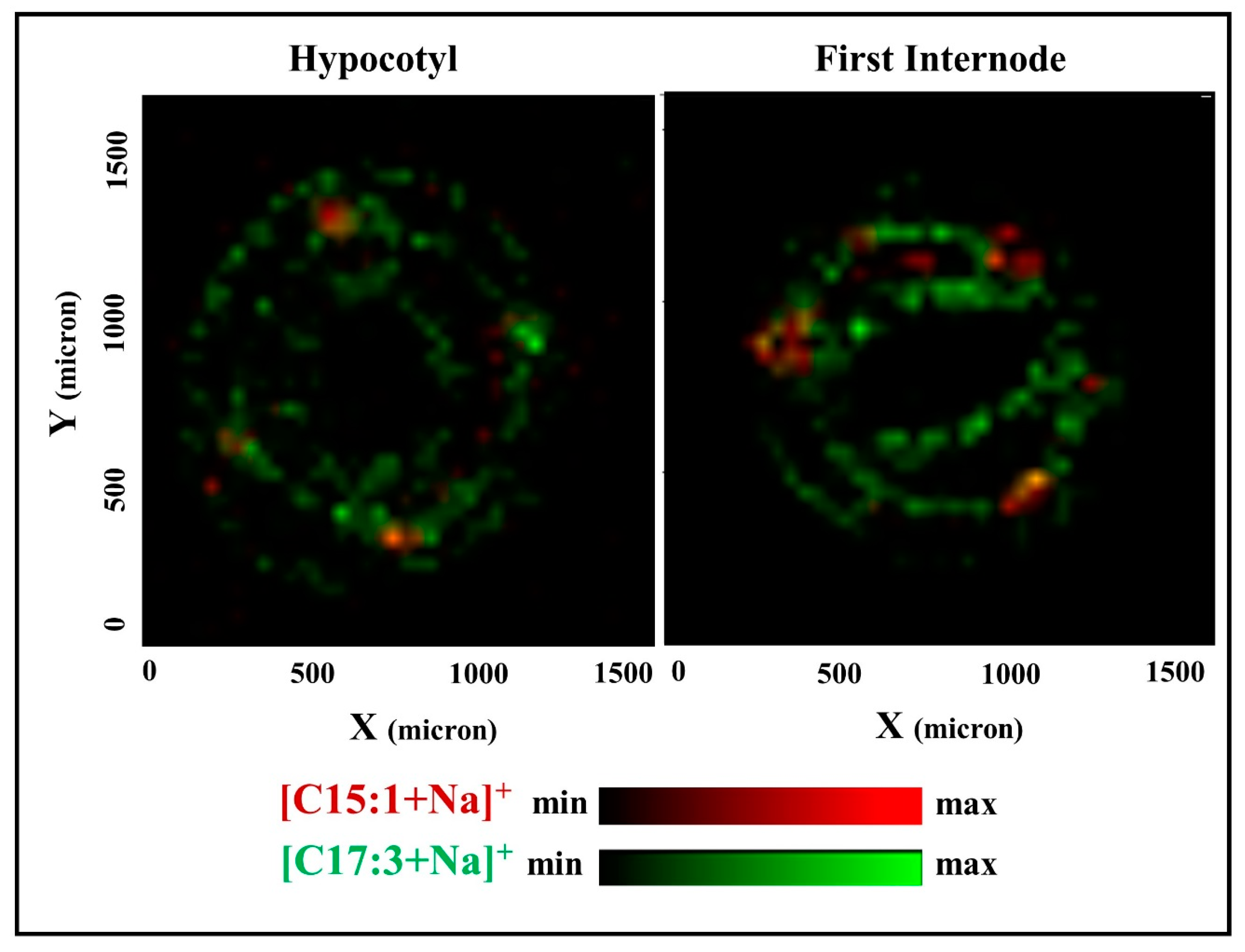 Molecules 22 00711 g006