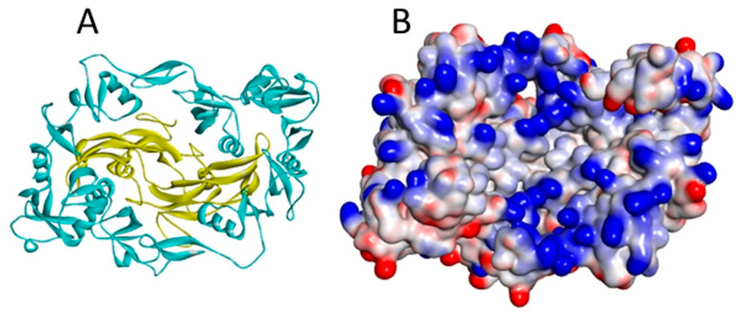 Molecules 22 00713 g005