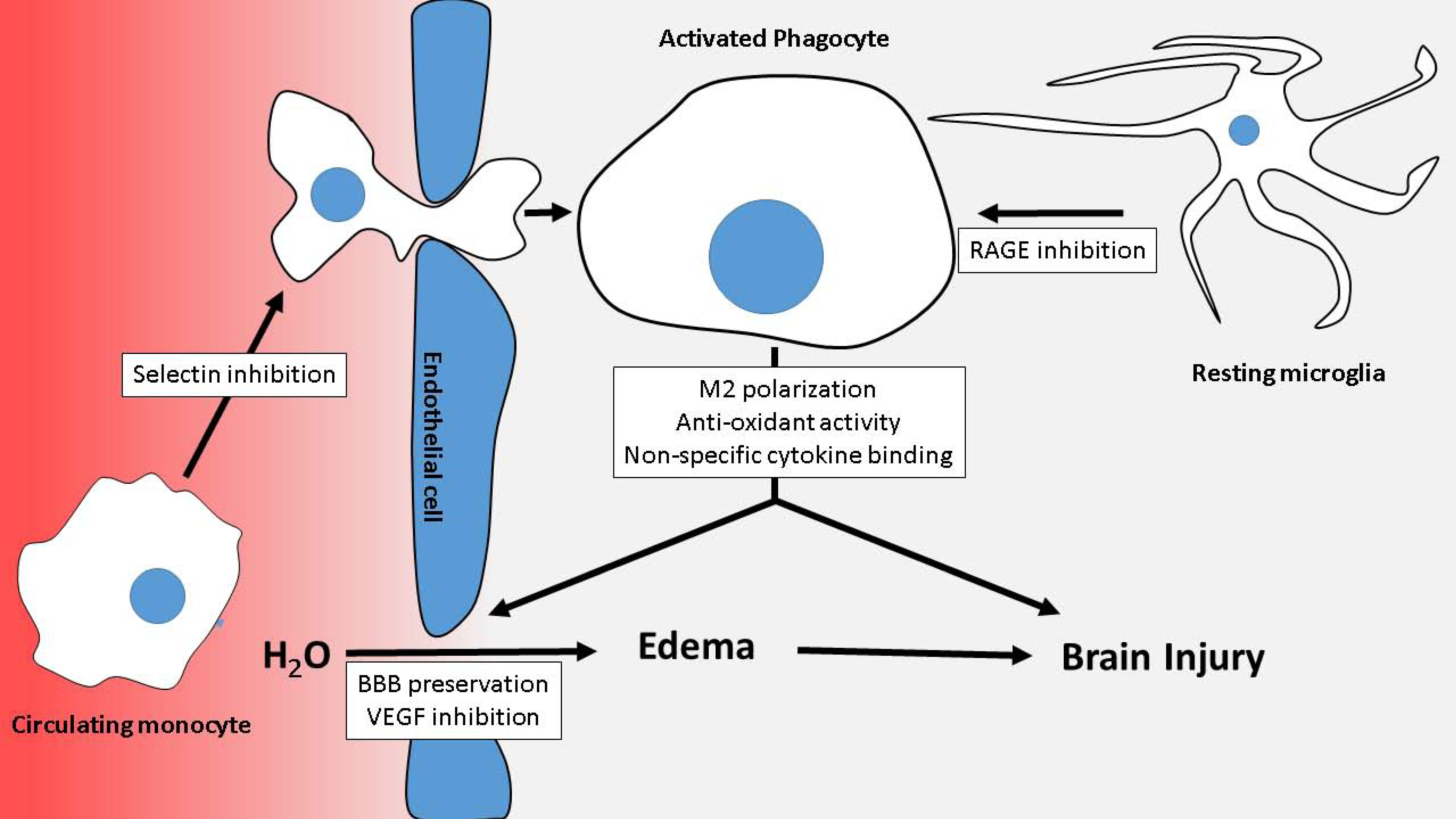 Molecules 22 00724 g002
