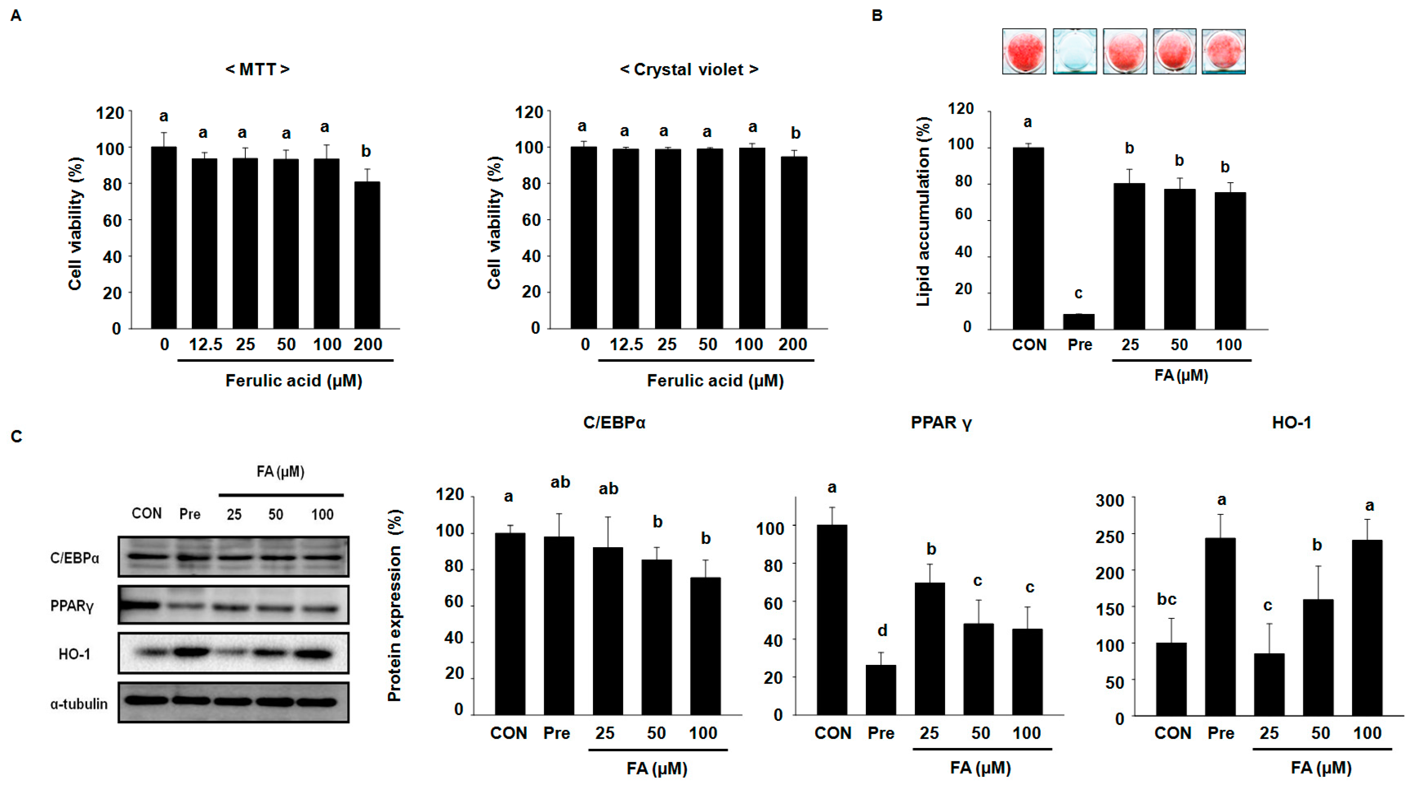 Molecules 22 00745 g001
