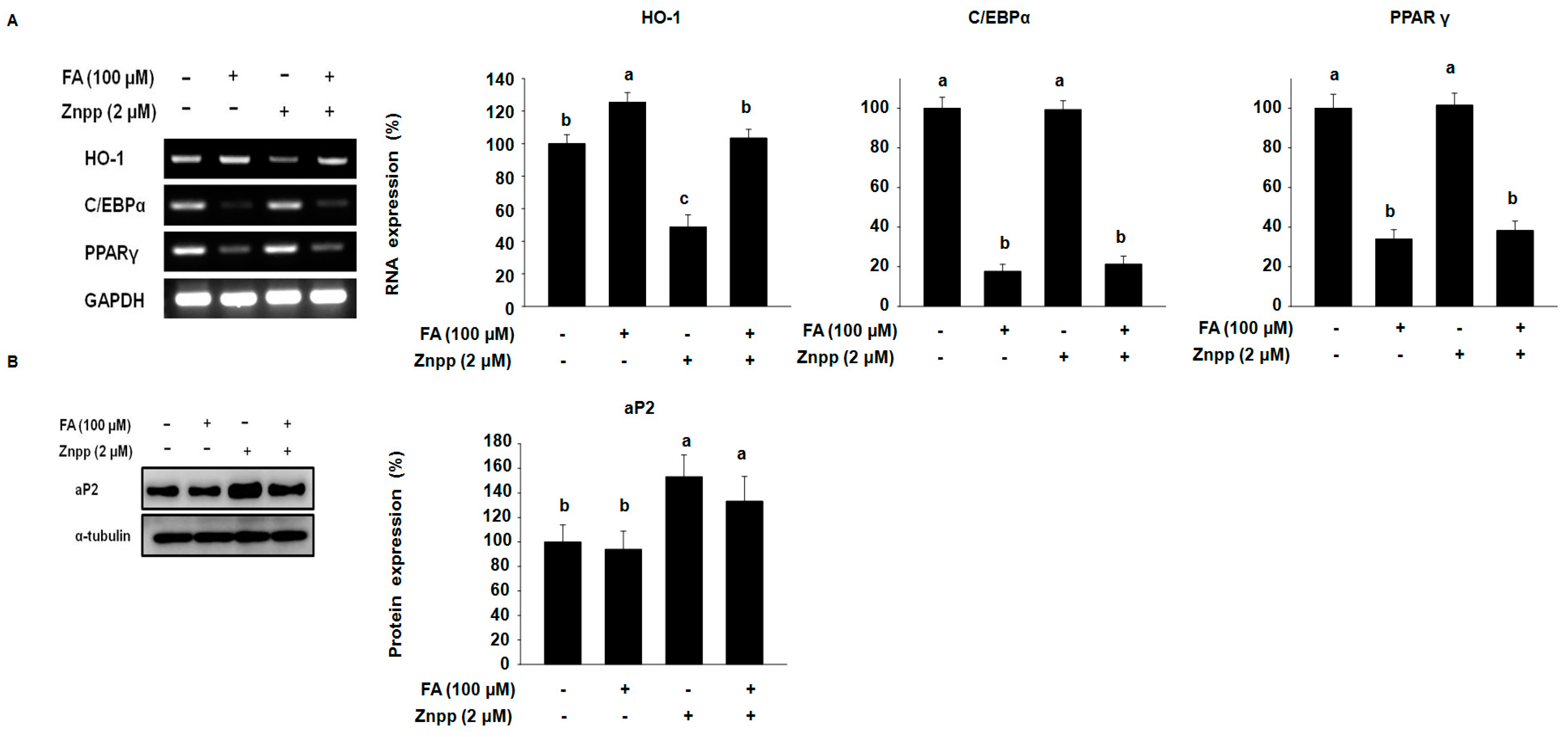 Molecules 22 00745 g002