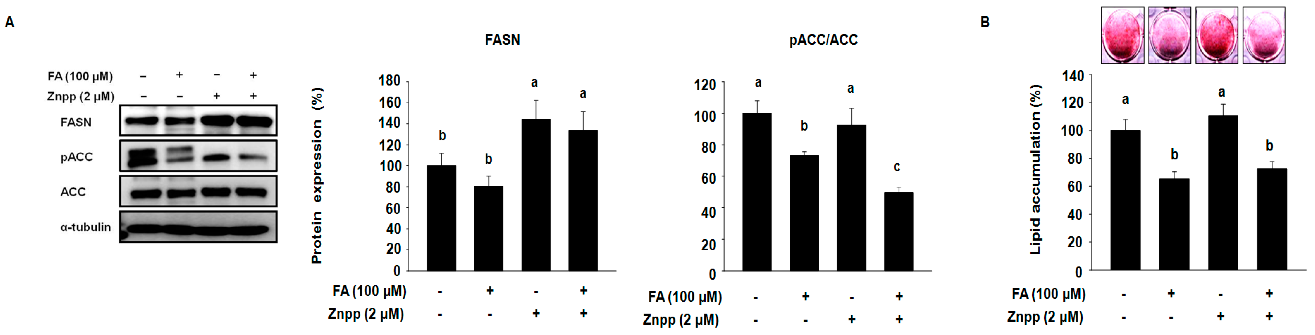 Molecules 22 00745 g003