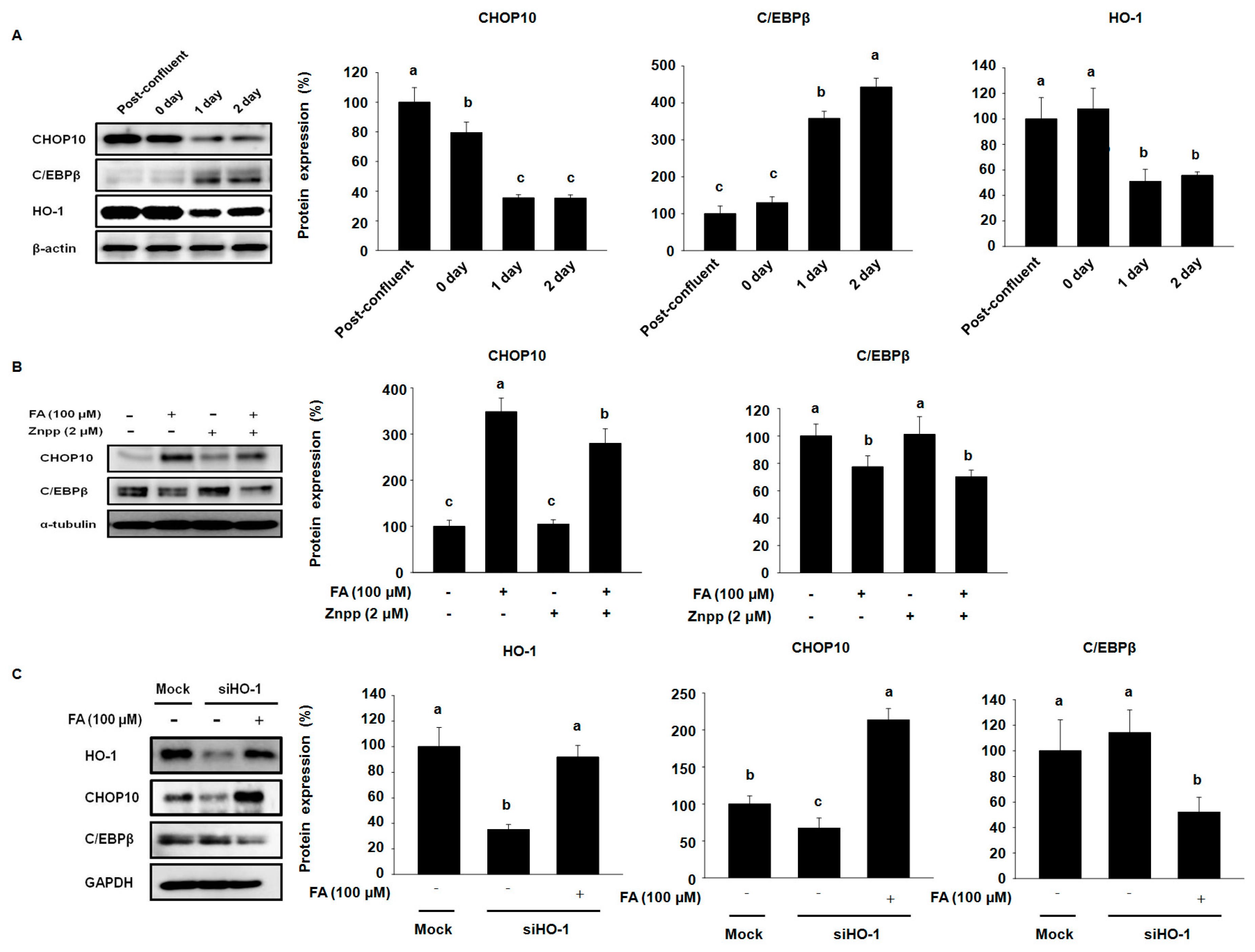 Molecules 22 00745 g004