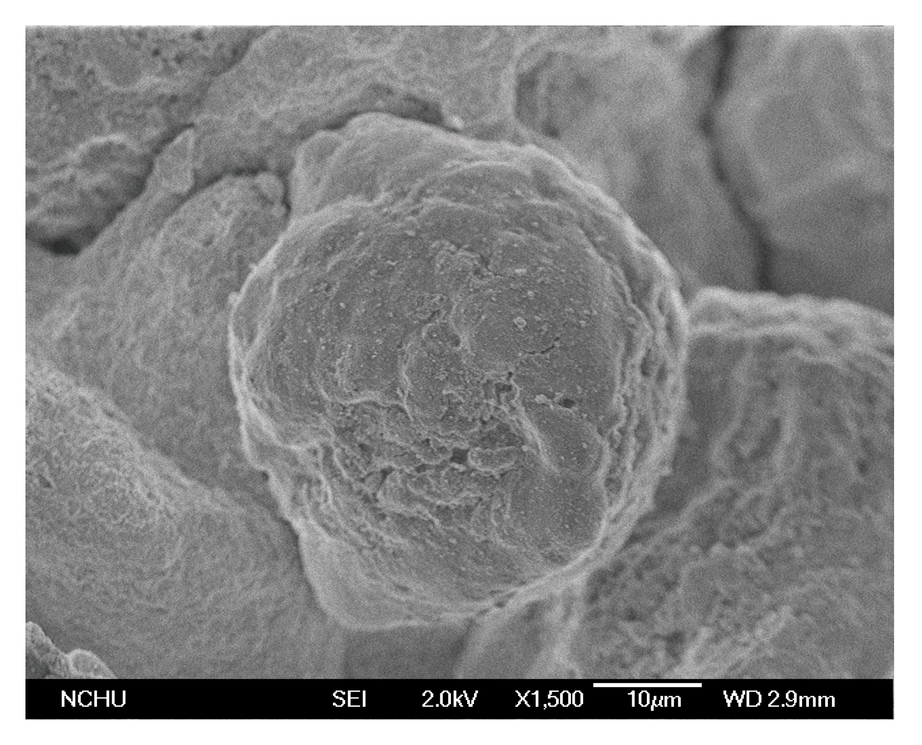 Molecules 22 00751 g002