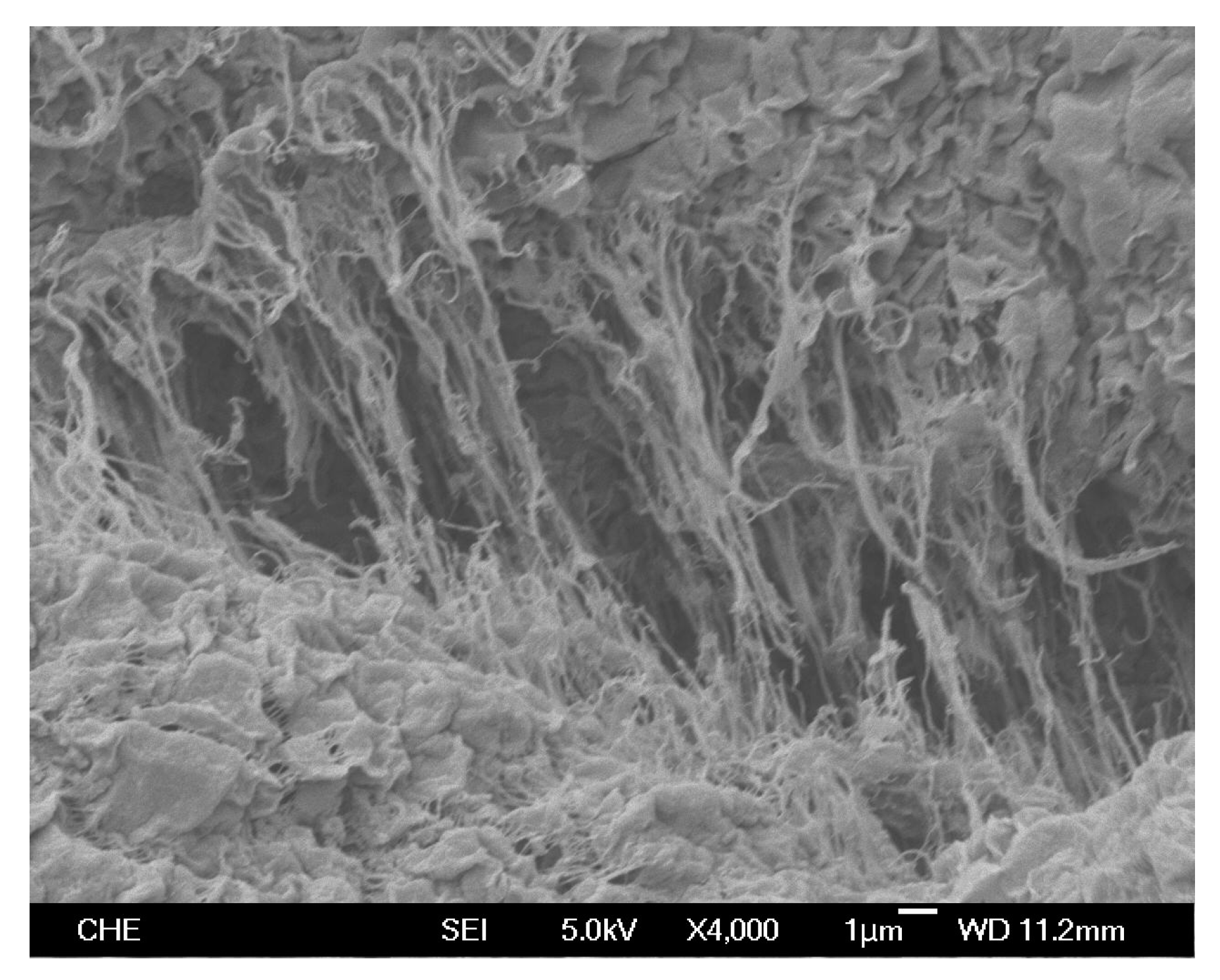 Molecules 22 00751 g005